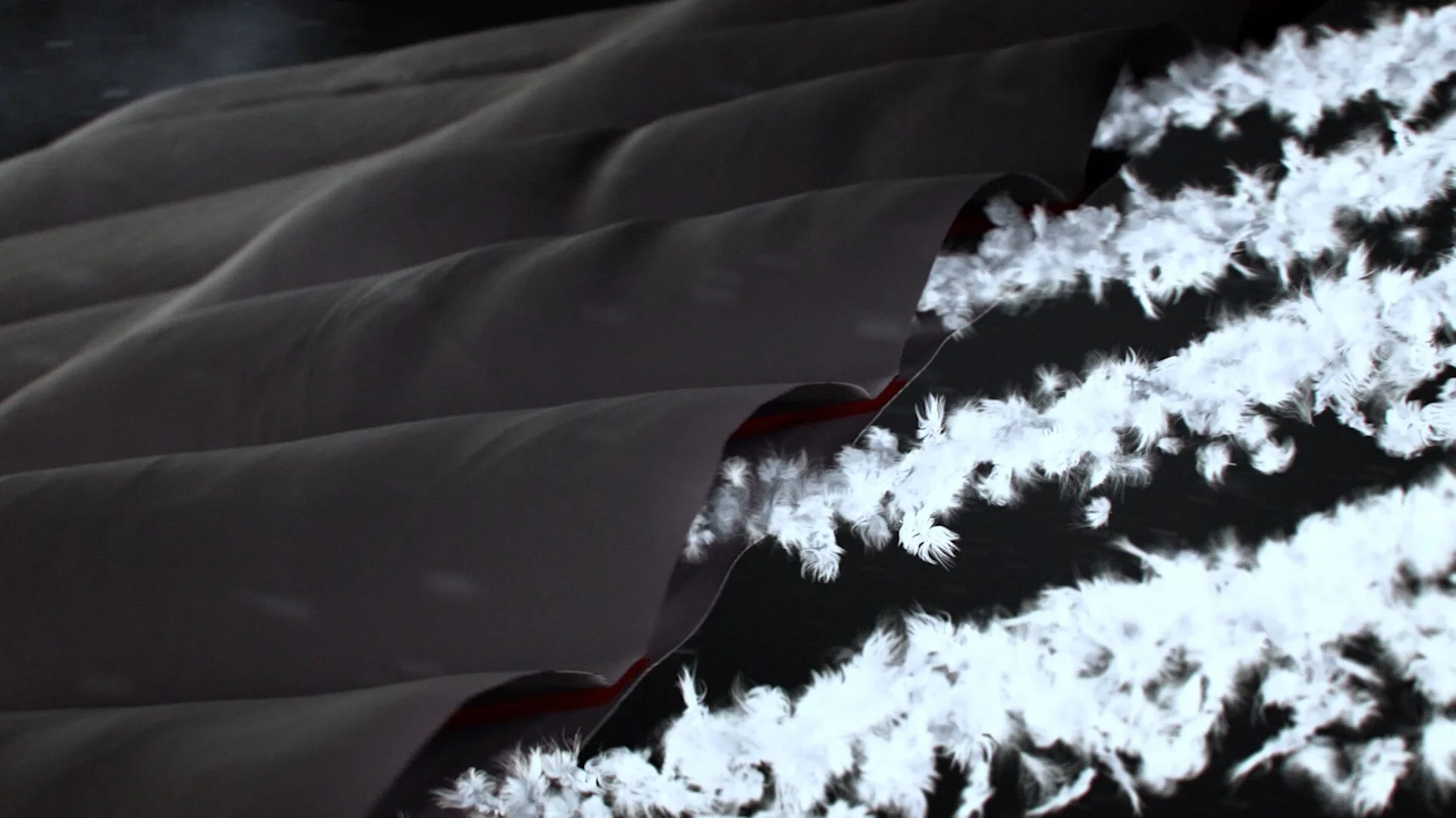 3 Lululemon Jacket Outerwear Tech - RDS (00280).jpg