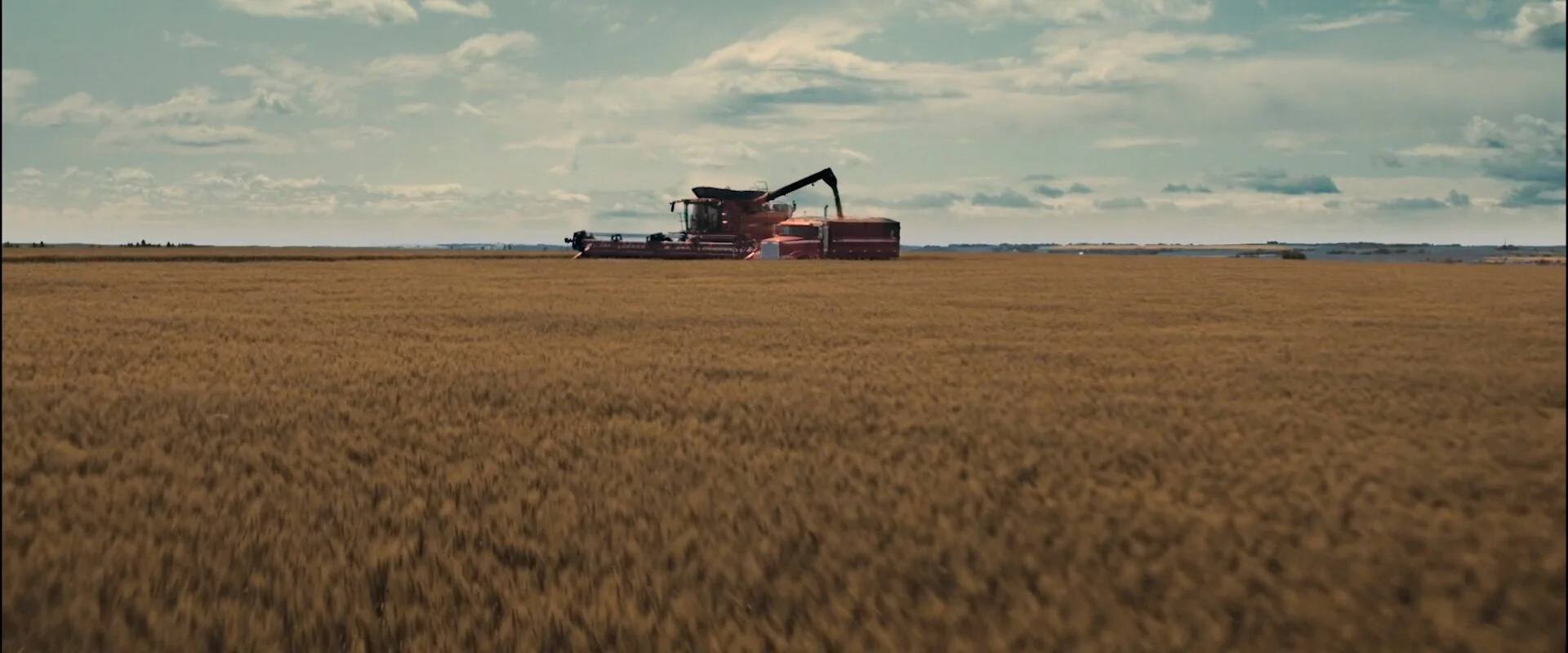 Screenshotter--WCLCWinningIsEverywhereonVimeo-007.jpg