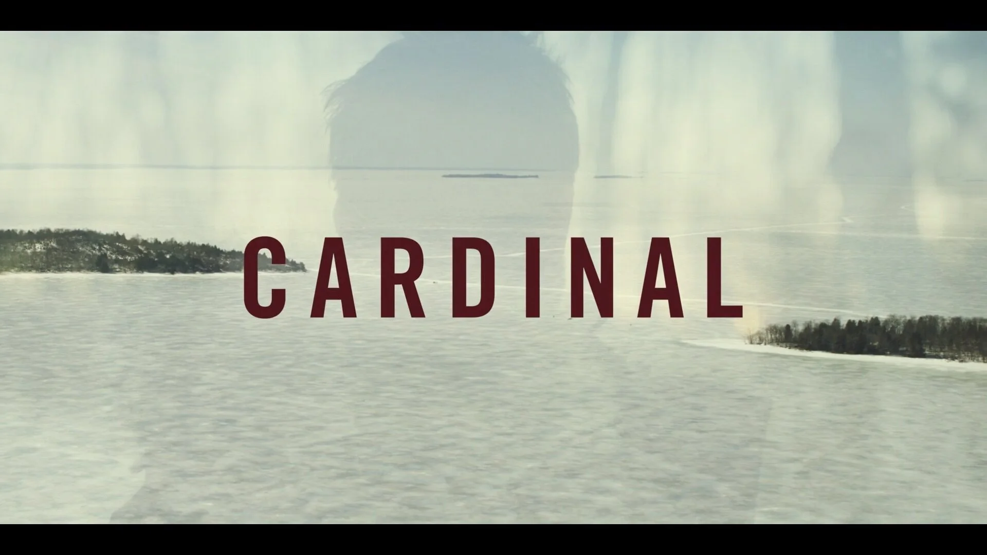 Screenshotter--CardinalonVimeo-033.jpg