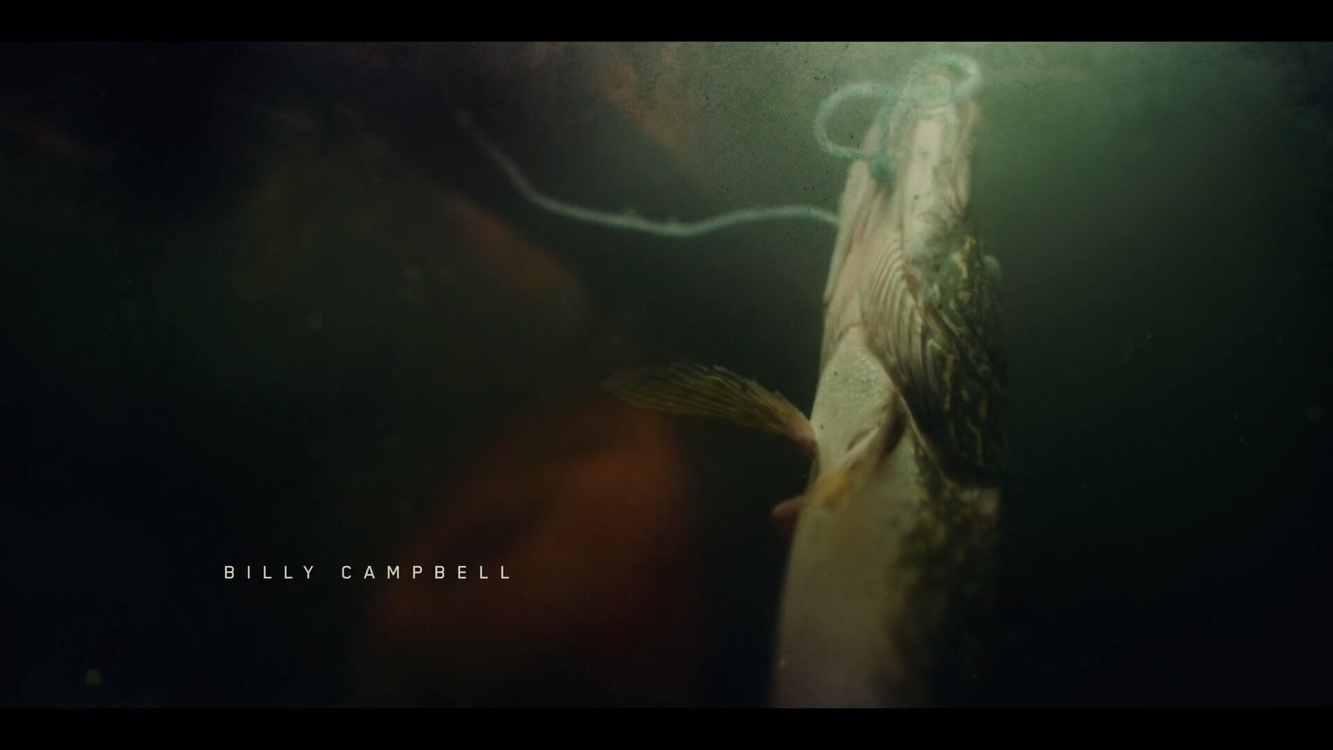 Screenshotter--CardinalS2INTROCCFINALonVimeo-005.jpg
