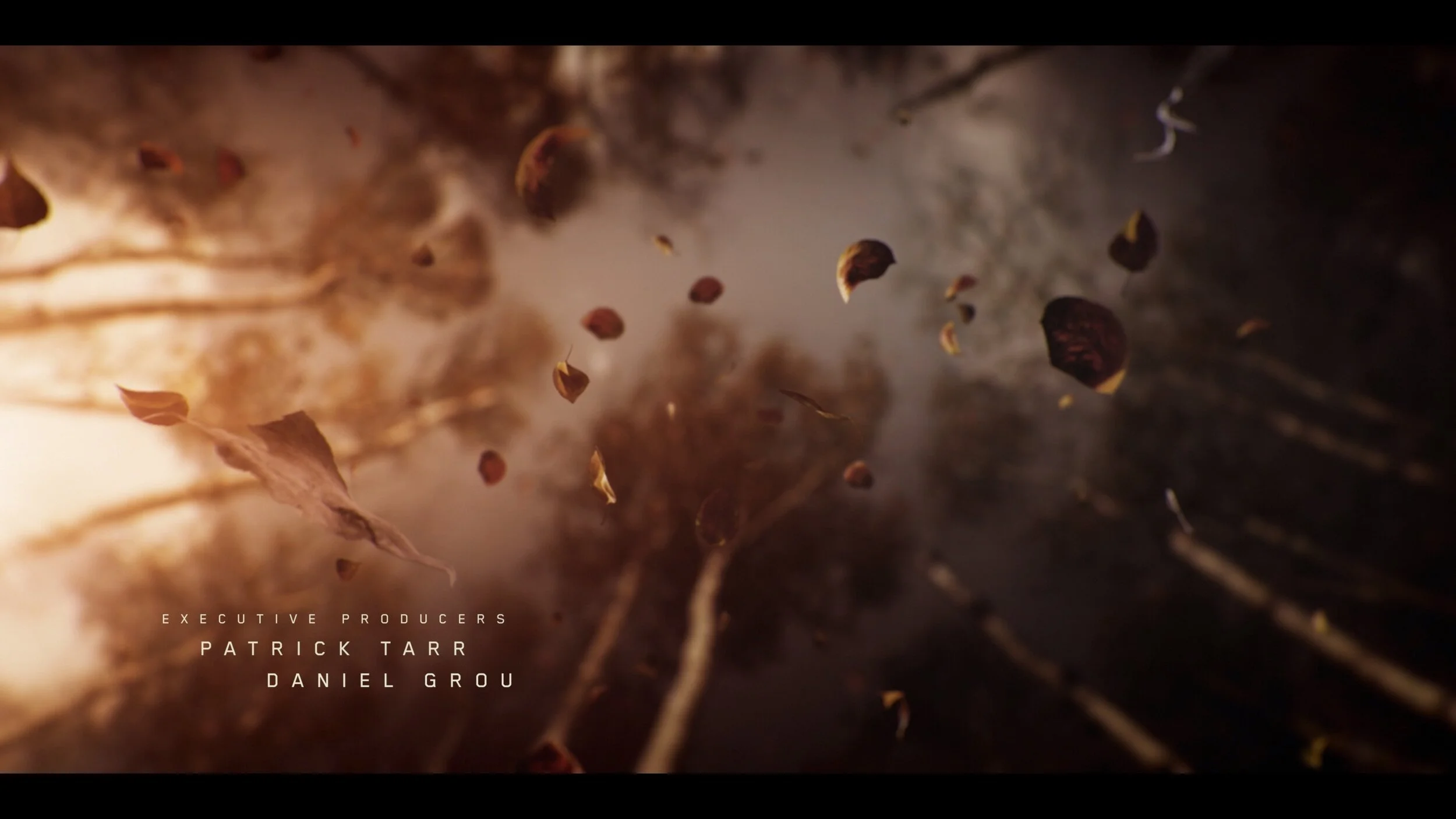Screenshotter--CardinalSeason3TitleSequenceonVimeo-023 (1).jpg