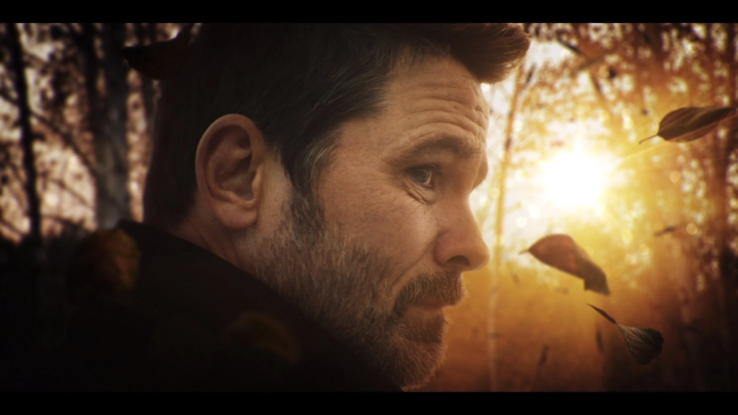 Screenshotter--CardinalSeason3TitleSequenceonVimeo-018.jpg