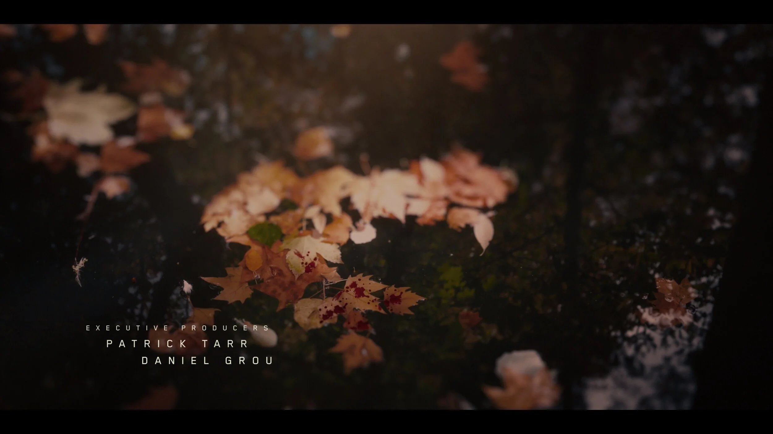Screenshotter--CardinalSeason3TitleSequenceonVimeo-023.jpg