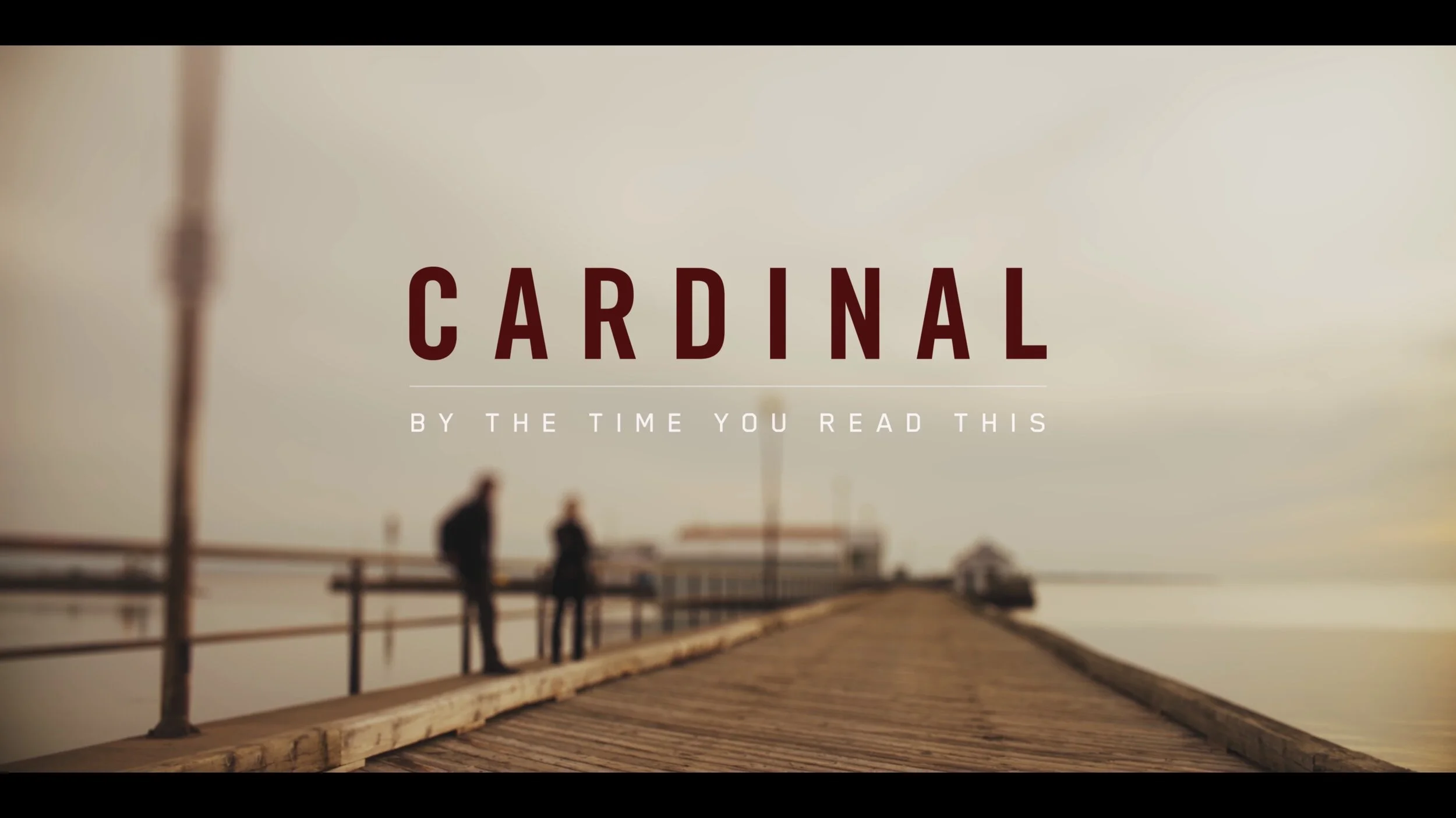 Screenshotter--CardinalSeason3TitleSequenceonVimeo-035.jpg