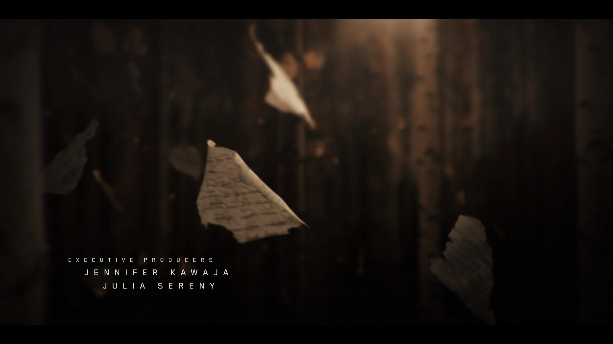 Screenshotter--CardinalSeason3TitleSequenceonVimeo-028 (1).jpg