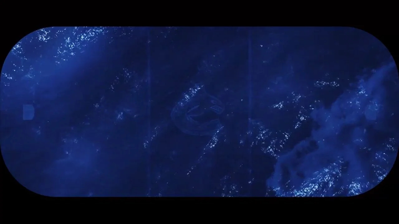 Screenshotter--canucksdemoonVimeo-215.jpg