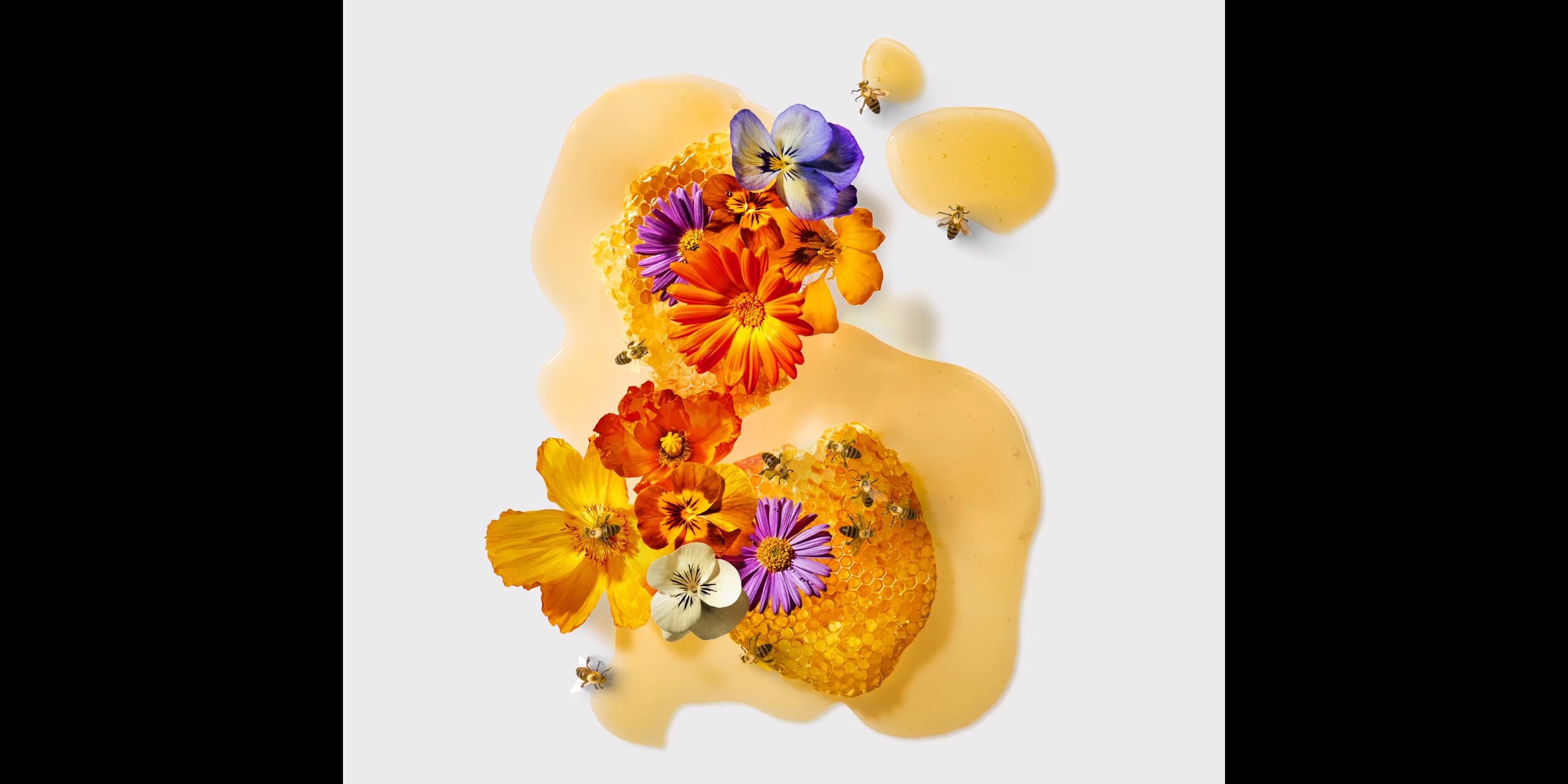 Screenshotter--DavidJonesFlowerShowWSfromTheSequenceGrouponVimeo-030.jpg
