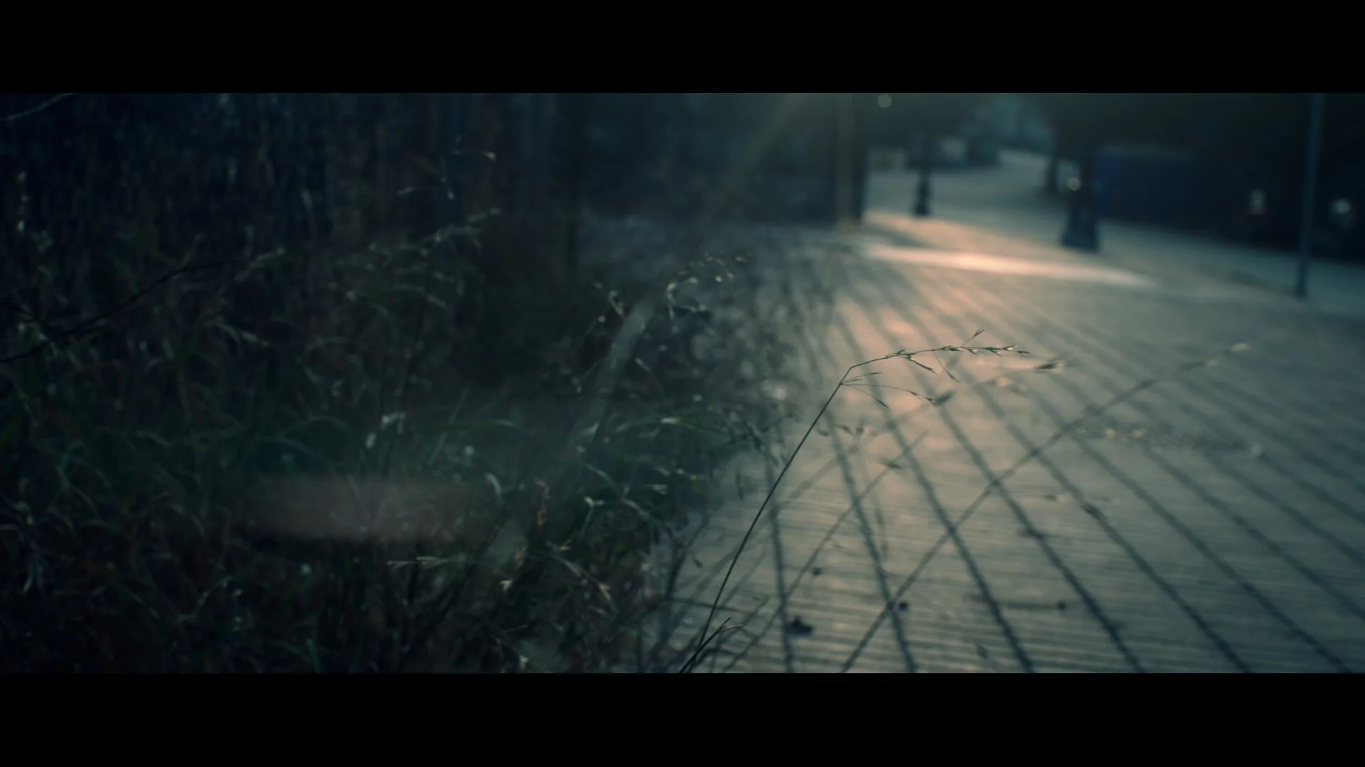 SEQ_Longdark_Edit_v031_prores (00530).jpg