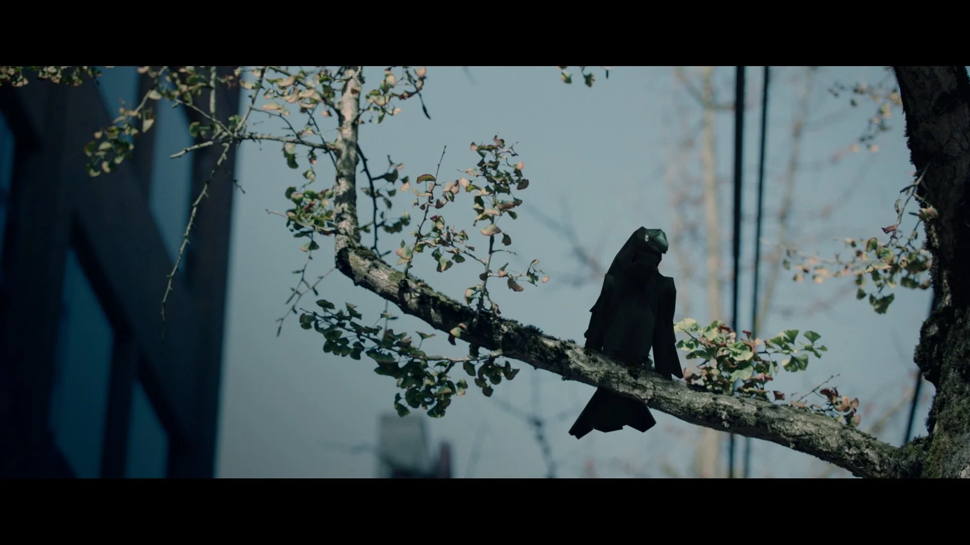 SEQ_Longdark_Edit_v031_prores (01200).jpg