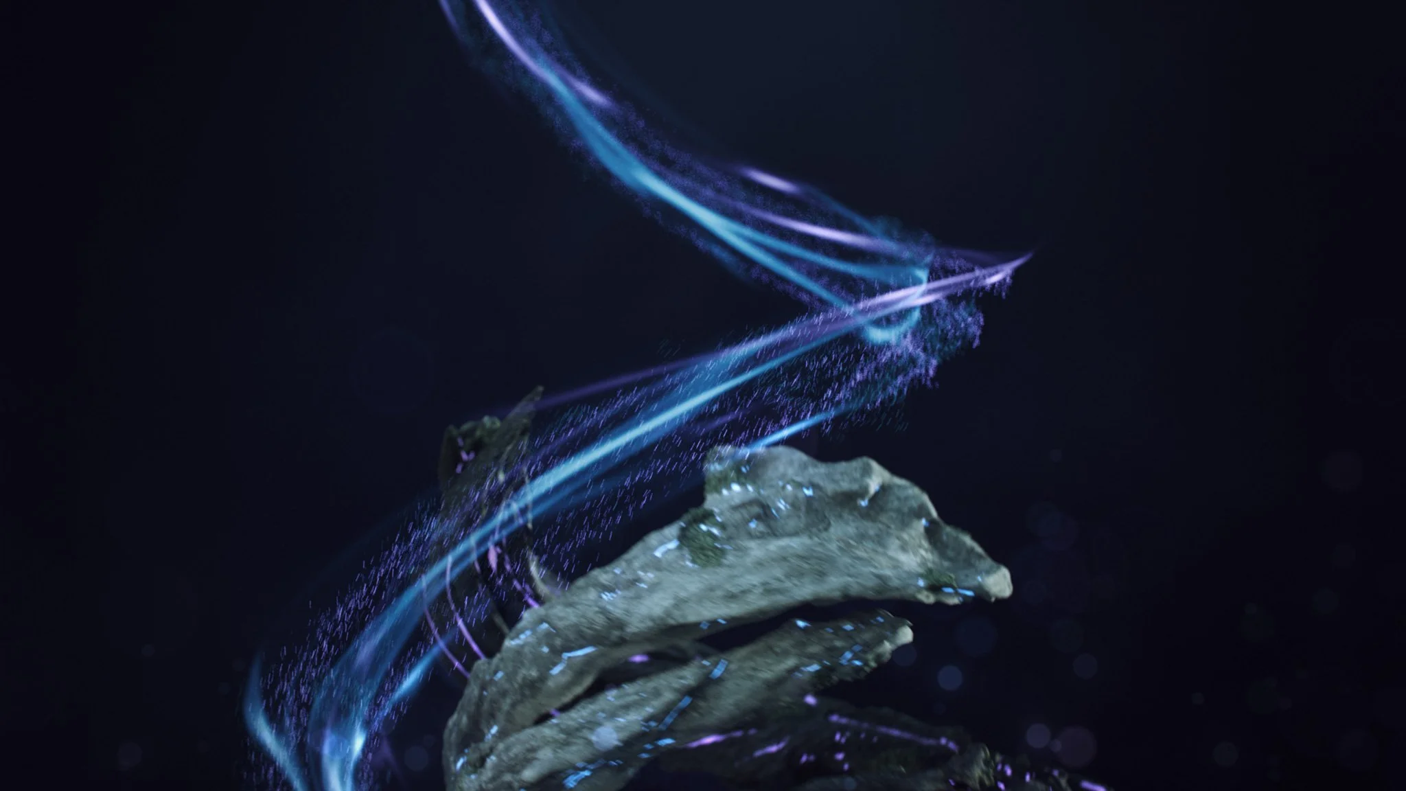 3 Riot_S2024_IntroLogo_v036+(00089).jpg