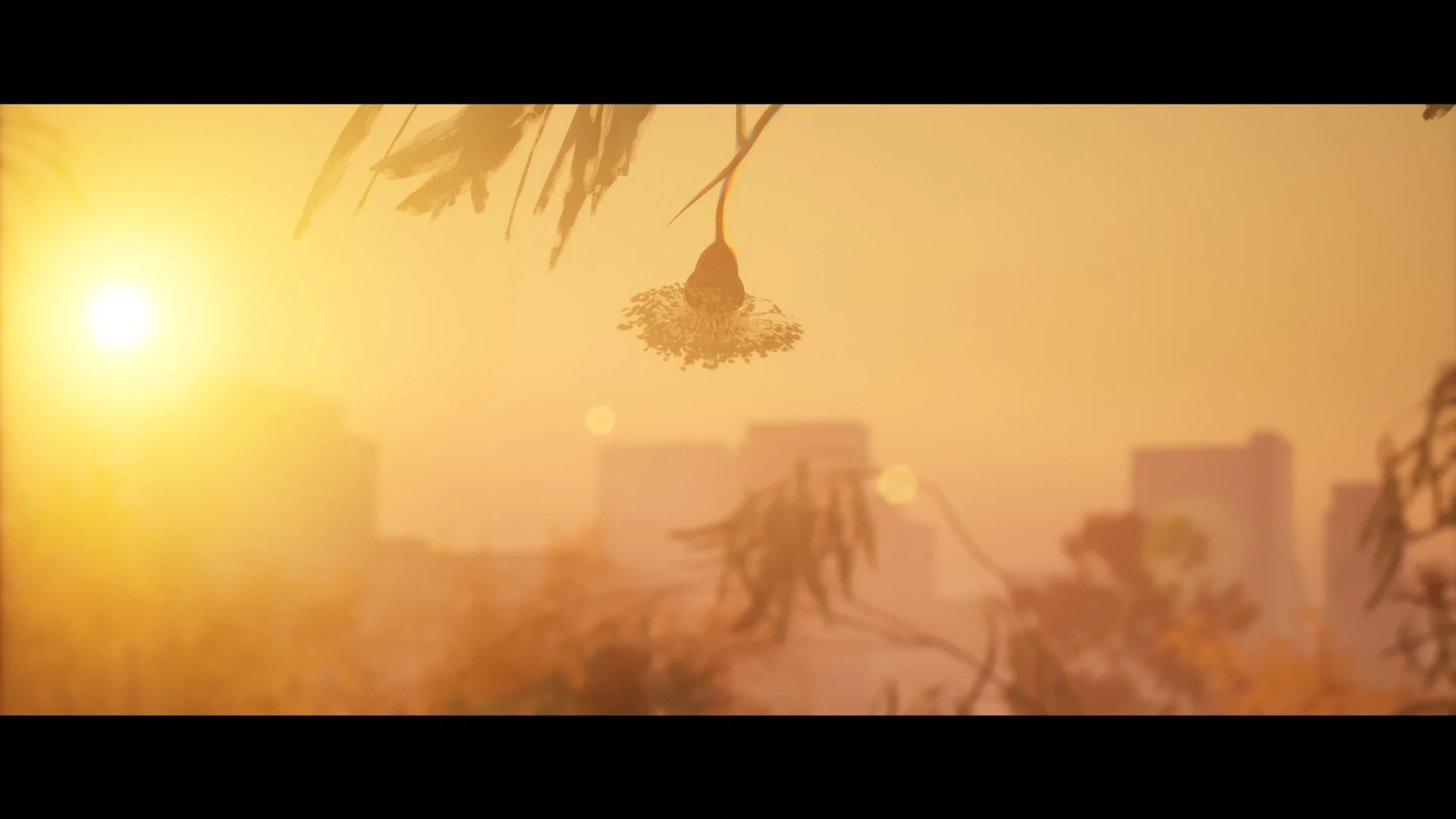 love_letters_to_our_trees (Original) (00365).jpg