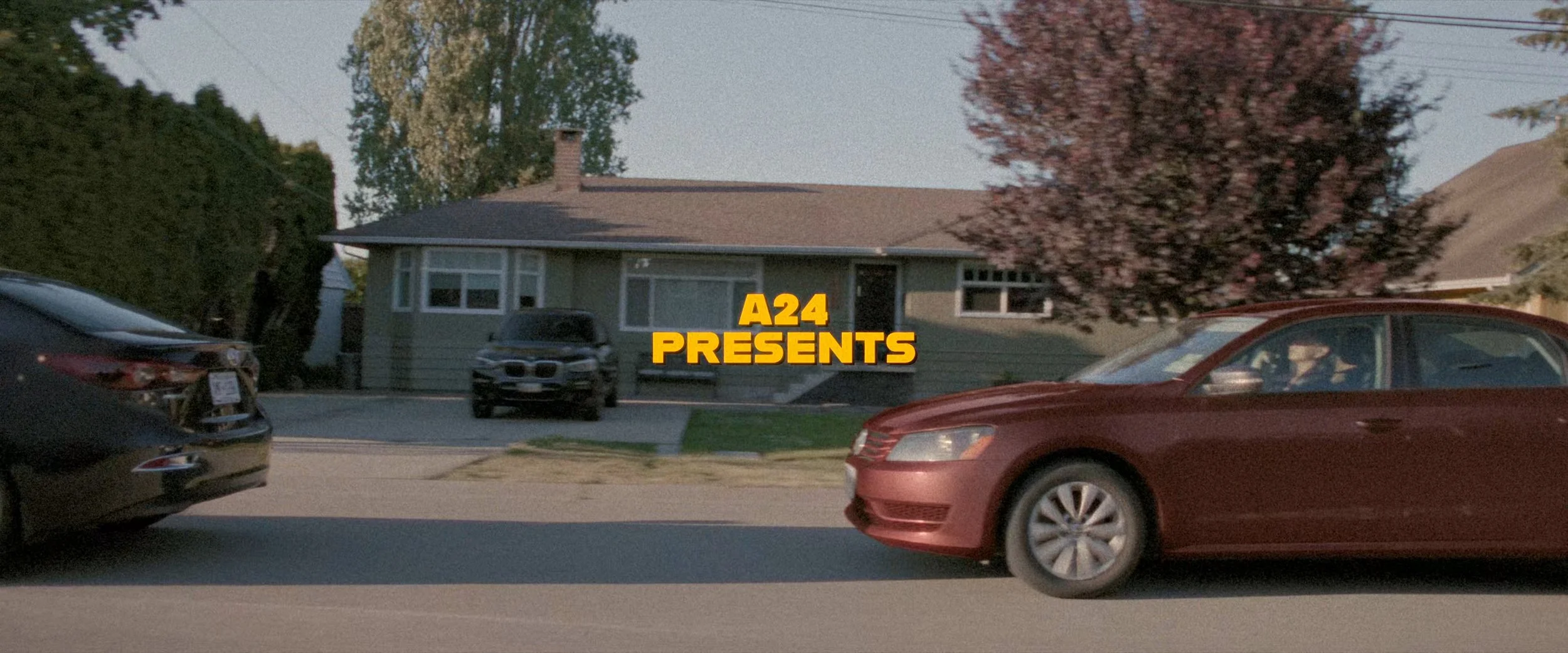 Intro (00915).jpg