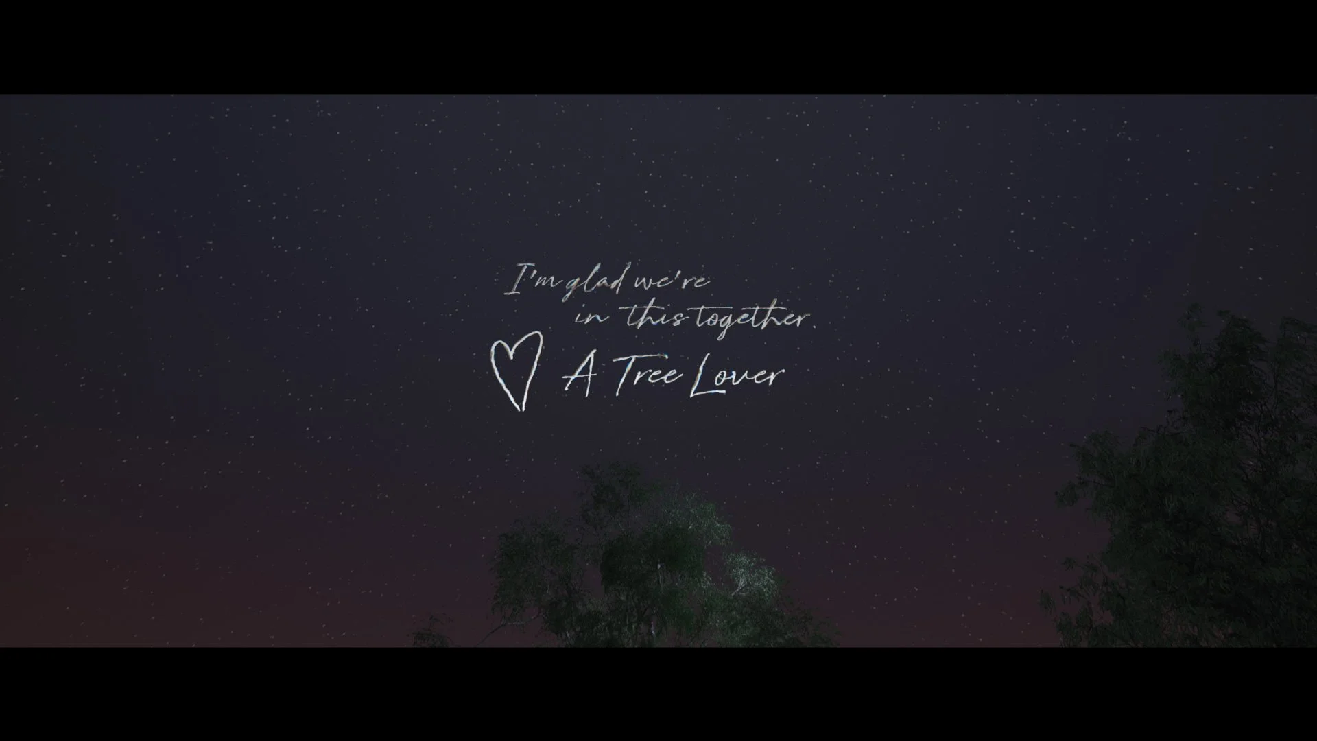 love_letters_to_our_trees (Original) (04545).jpg
