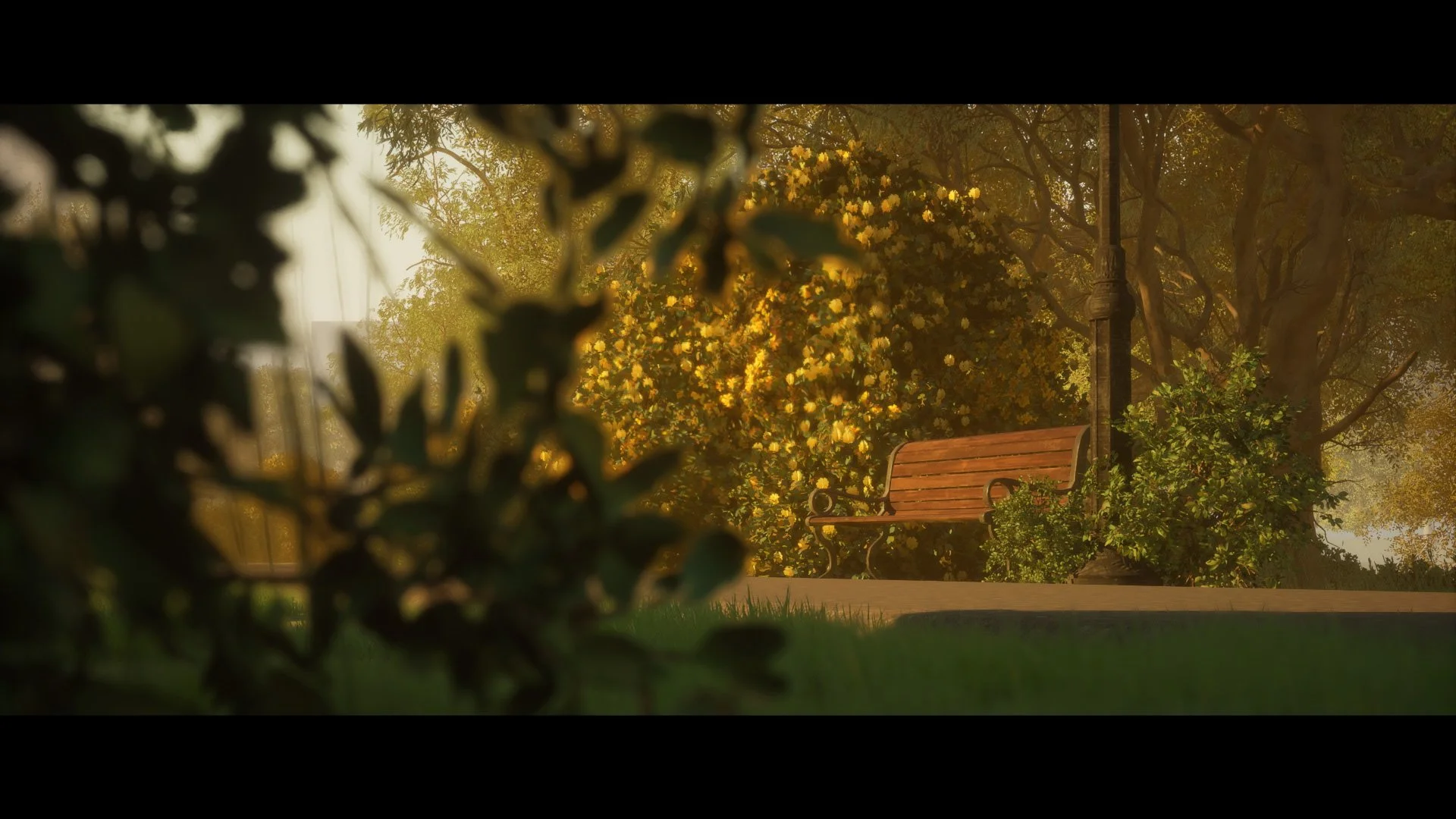 love_letters_to_our_trees (Original) (00465).jpg