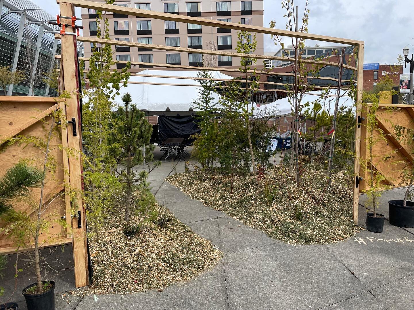 A little sneak peak of the pop-up forest happening at the Tacoma Mall (near JCPenny) TODAY through Sunday!! Go stop by to see this special installation and take home a Shore Pine Friday and Saturday!