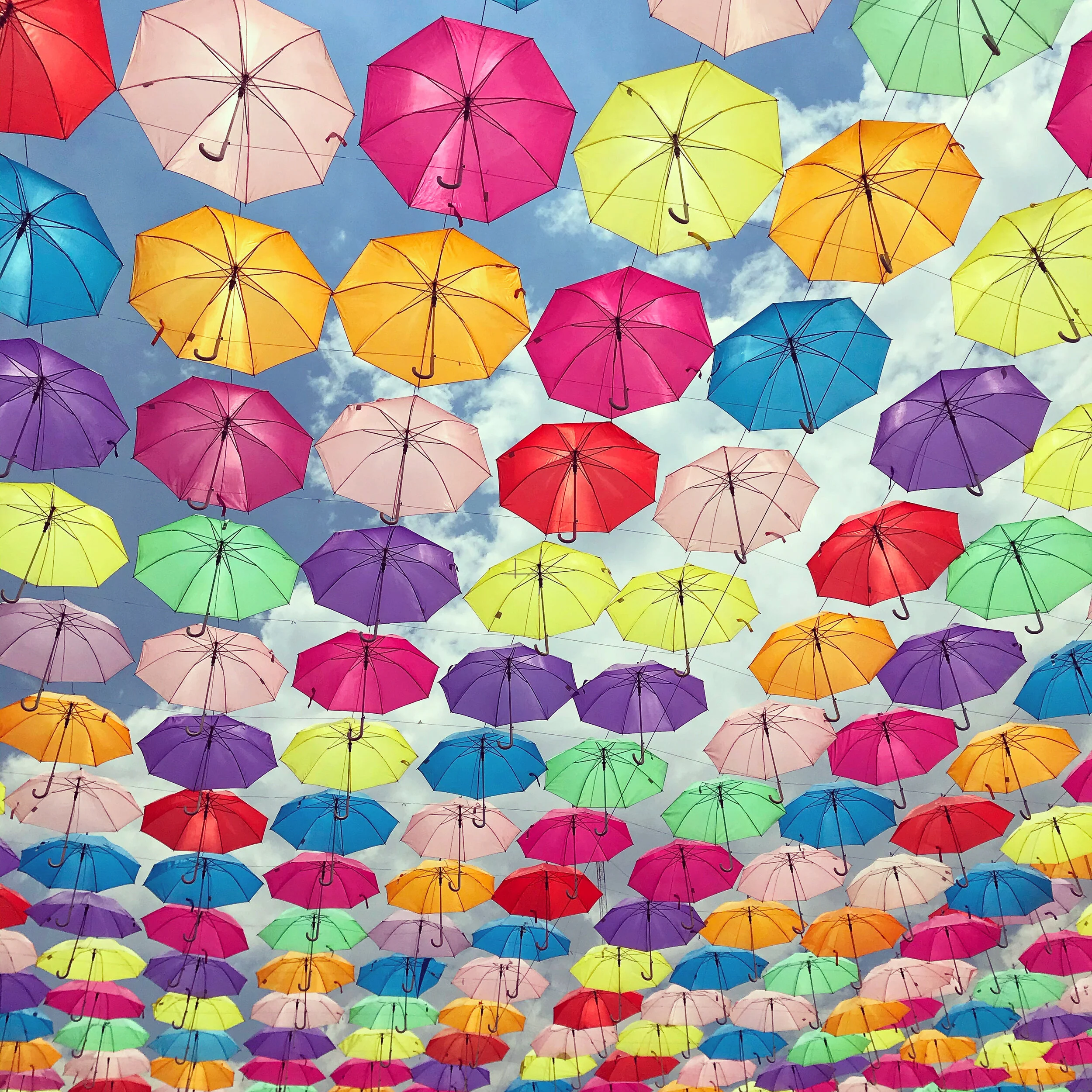 July Accomplishments and Failures