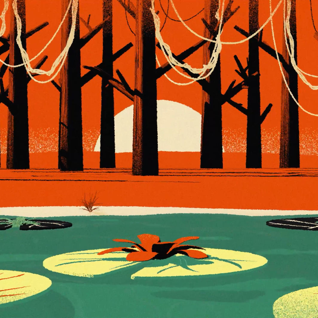 The Journey From the Forest of the Eels