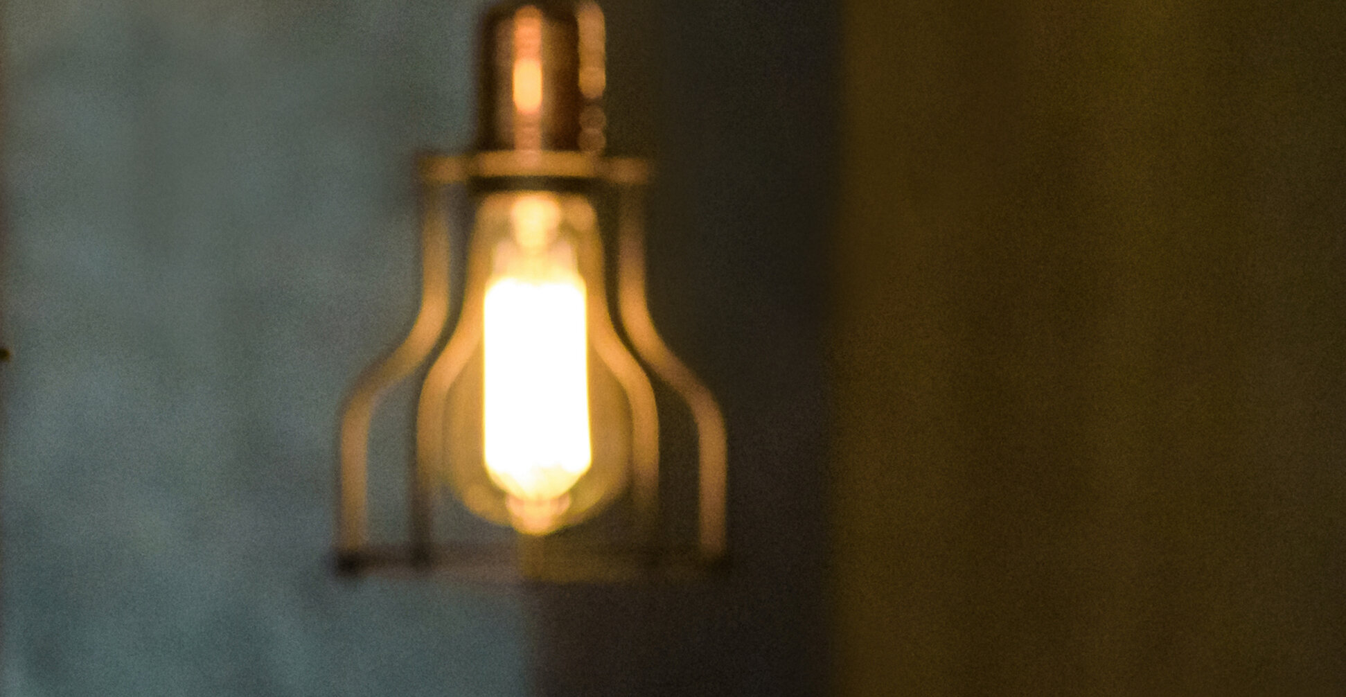 7_small_bulb._large.pg .jpg