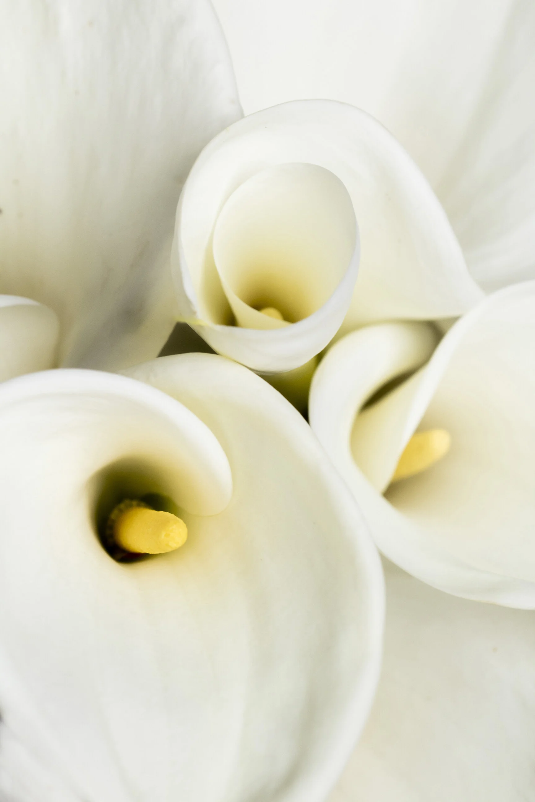Calla Lily Bouquet