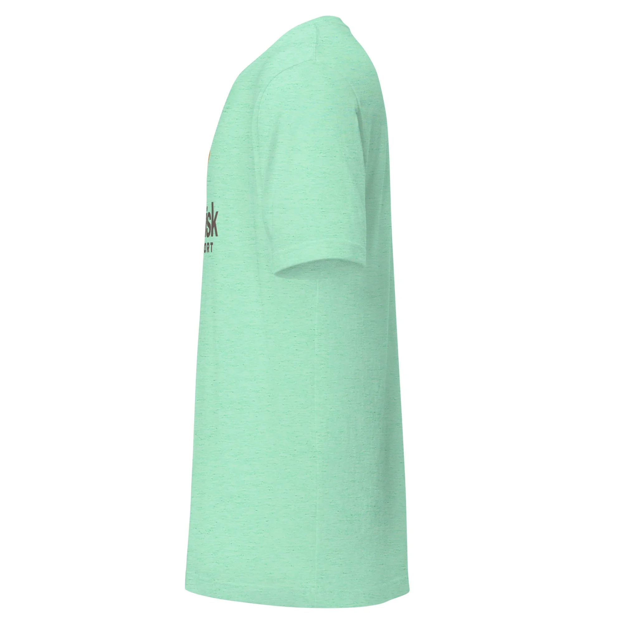 unisex-staple-t-shirt-heather-mint-left-6a939c9a97259.jpg
