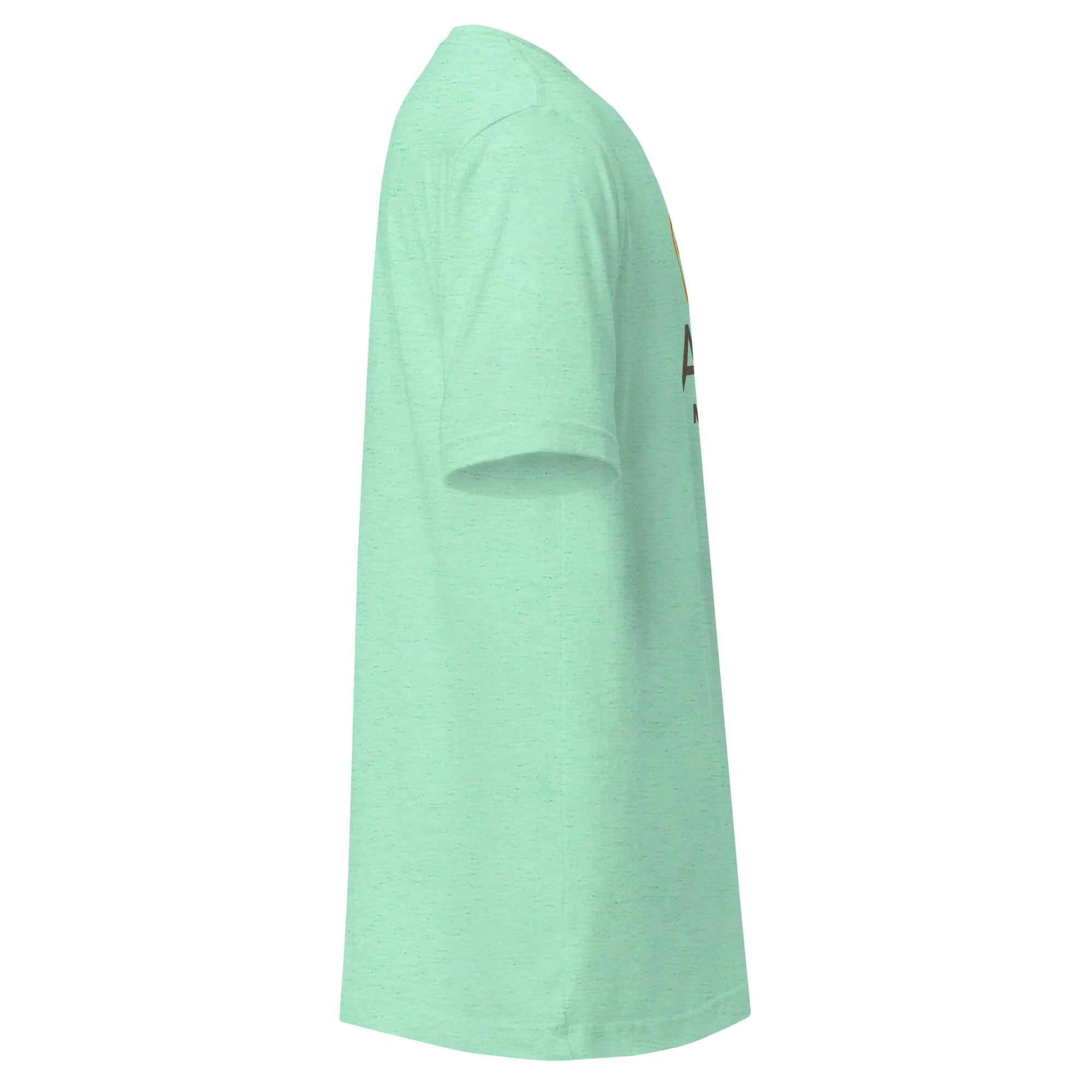 unisex-staple-t-shirt-heather-mint-right-6a939c9a98d87.jpg