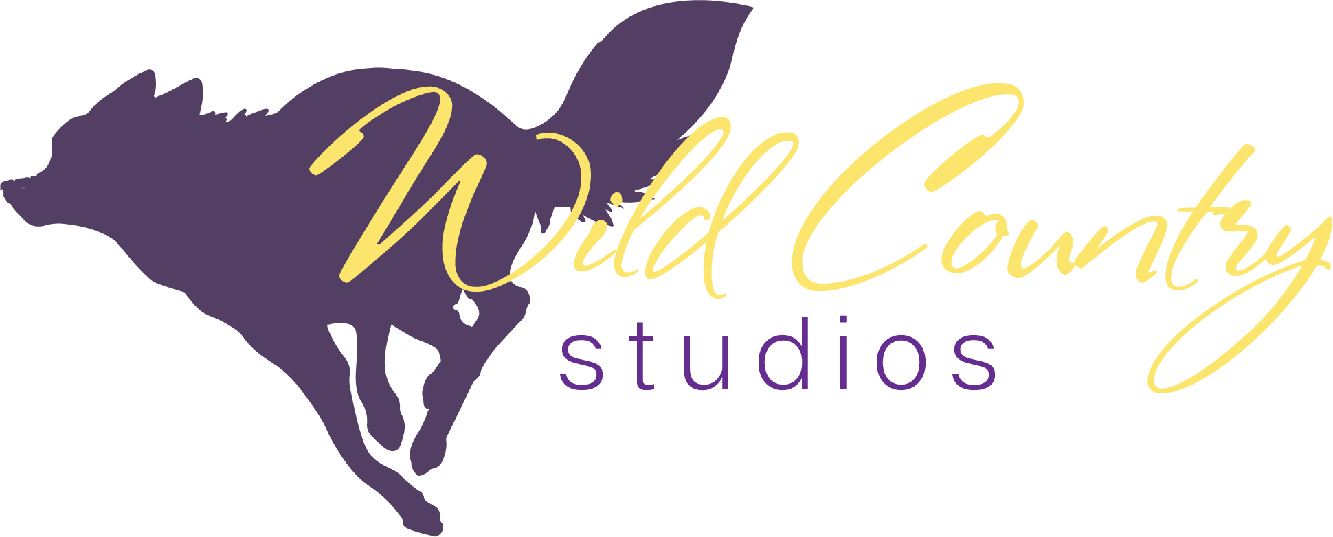 Wild-Country-Studios-logo-clr.png