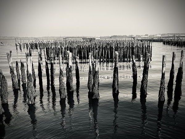 Portland Maine Piers