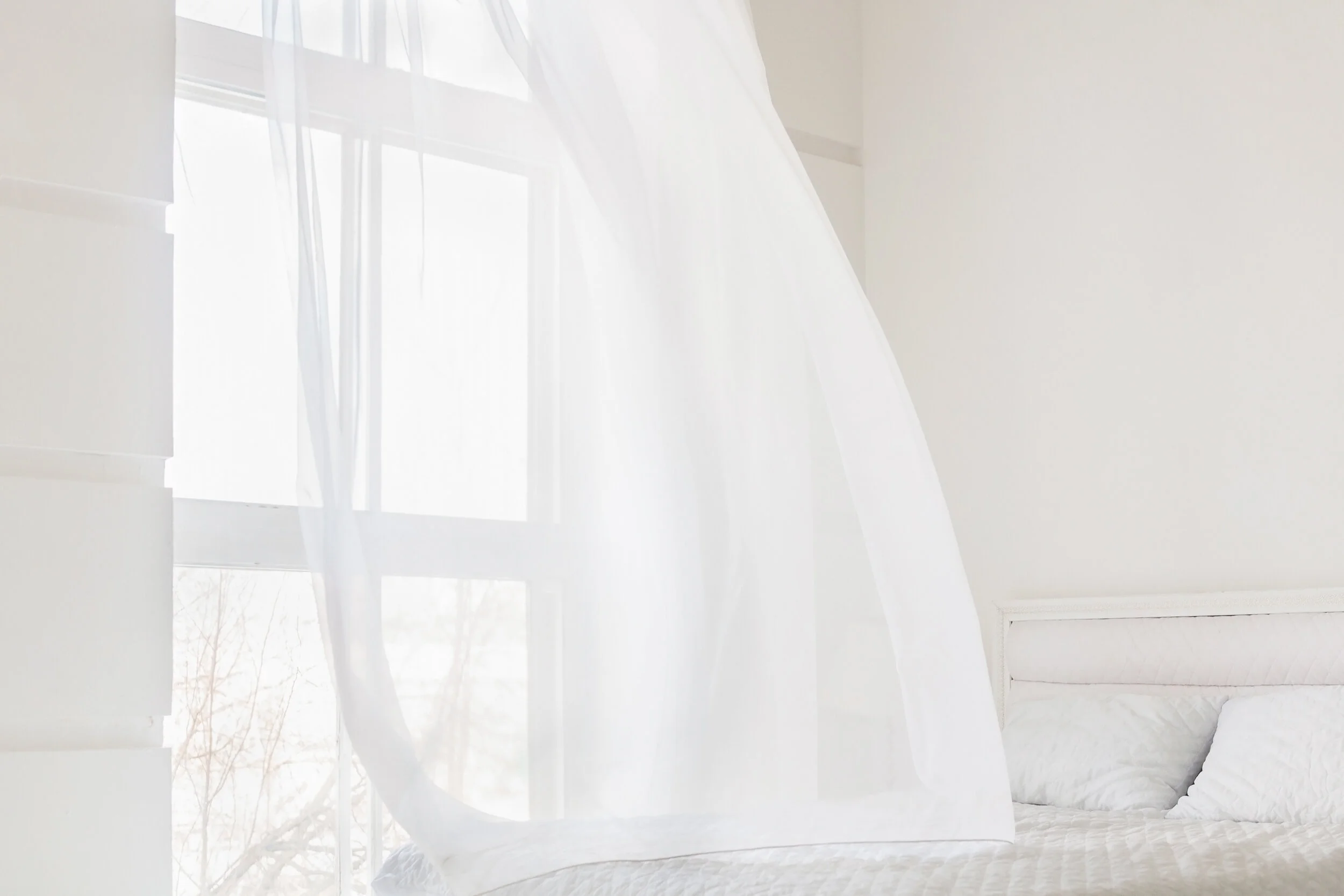 AdobeStock_146220108.jpeg