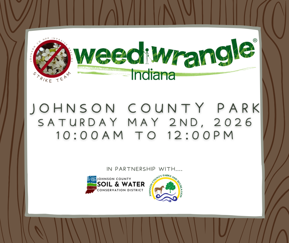 Johnson County Park Weed Wrangle  