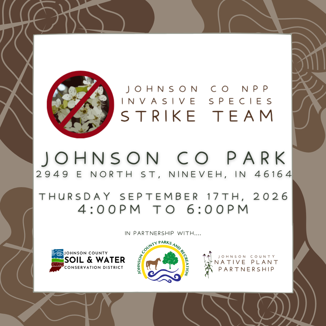 September Strike Team