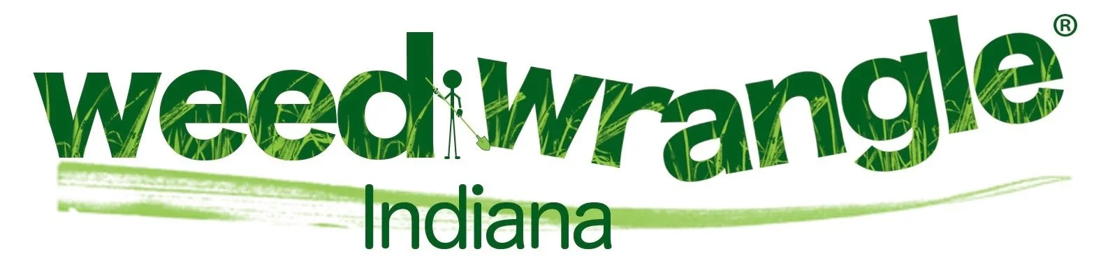 Johnson County Park Fall Weed Wrangle
