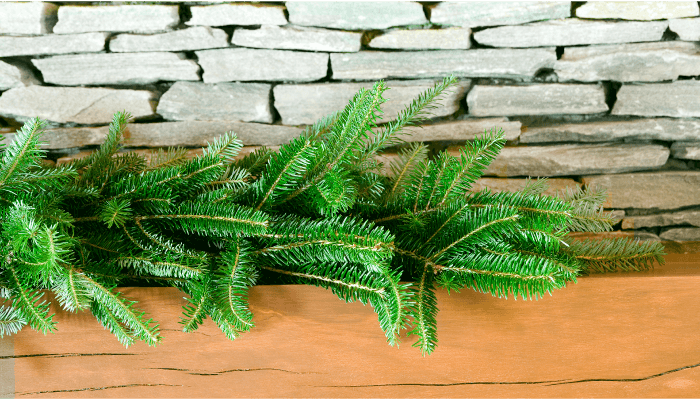 Fraser Fir Garland