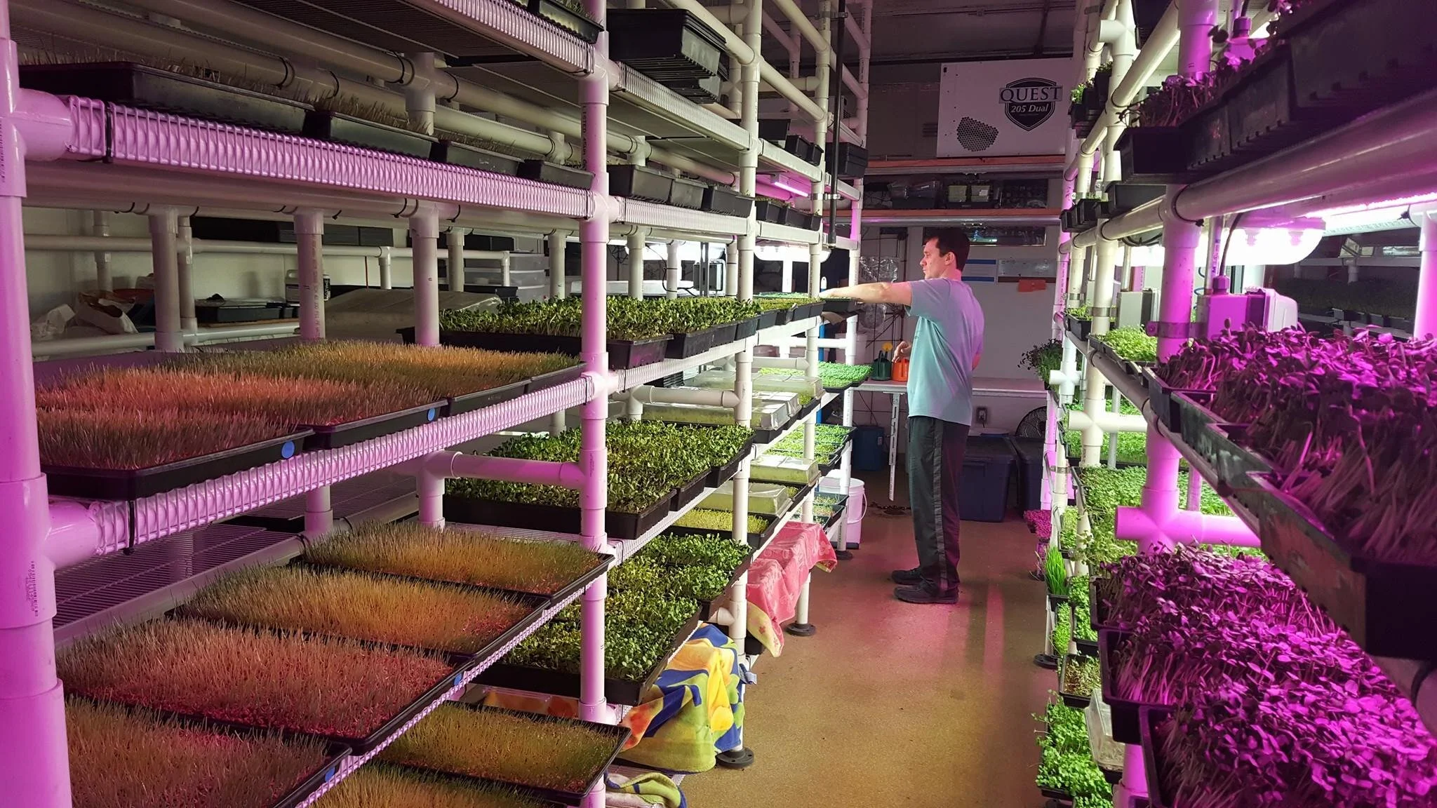 SC!-growroom.jpg