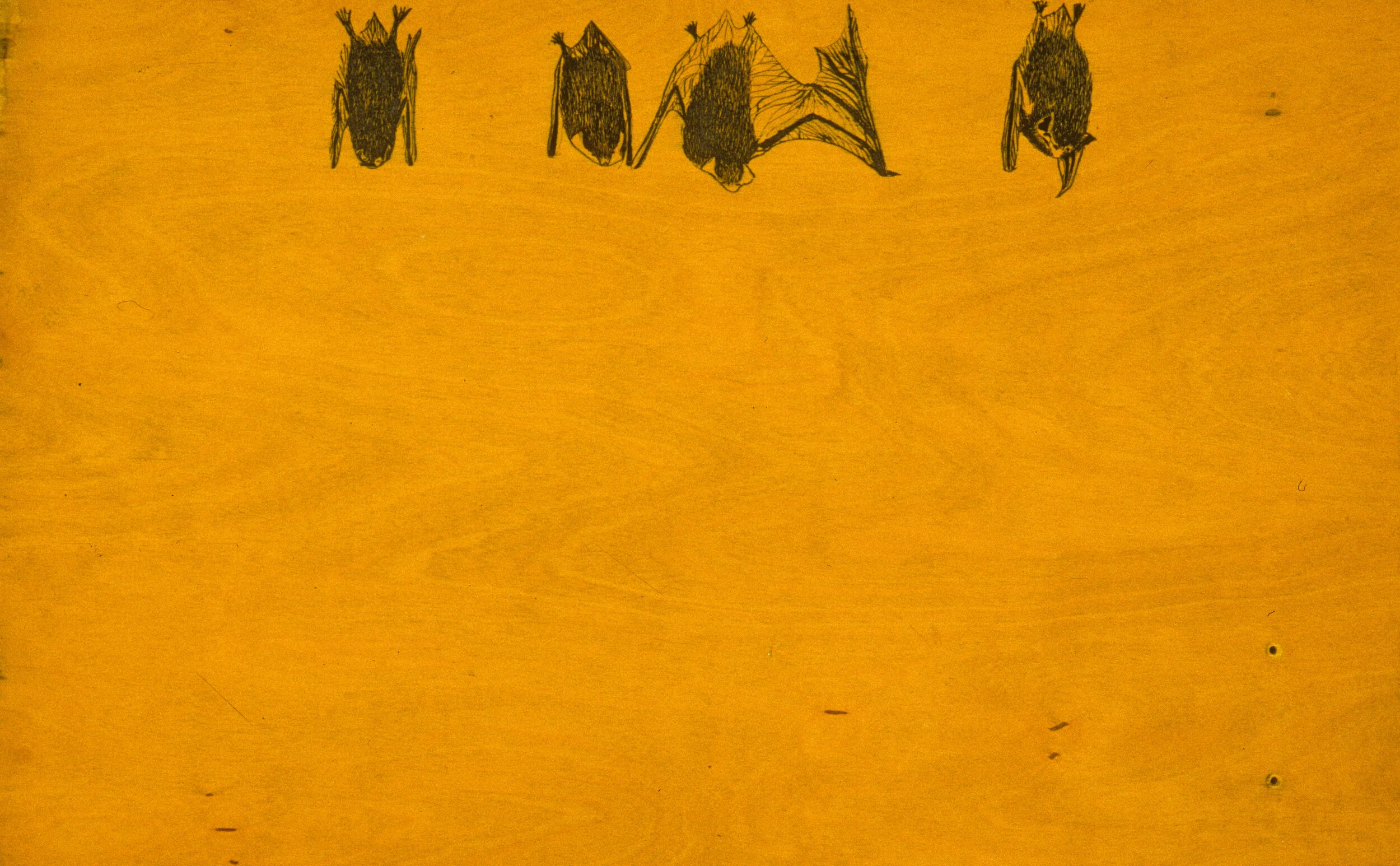 bat board.jpg