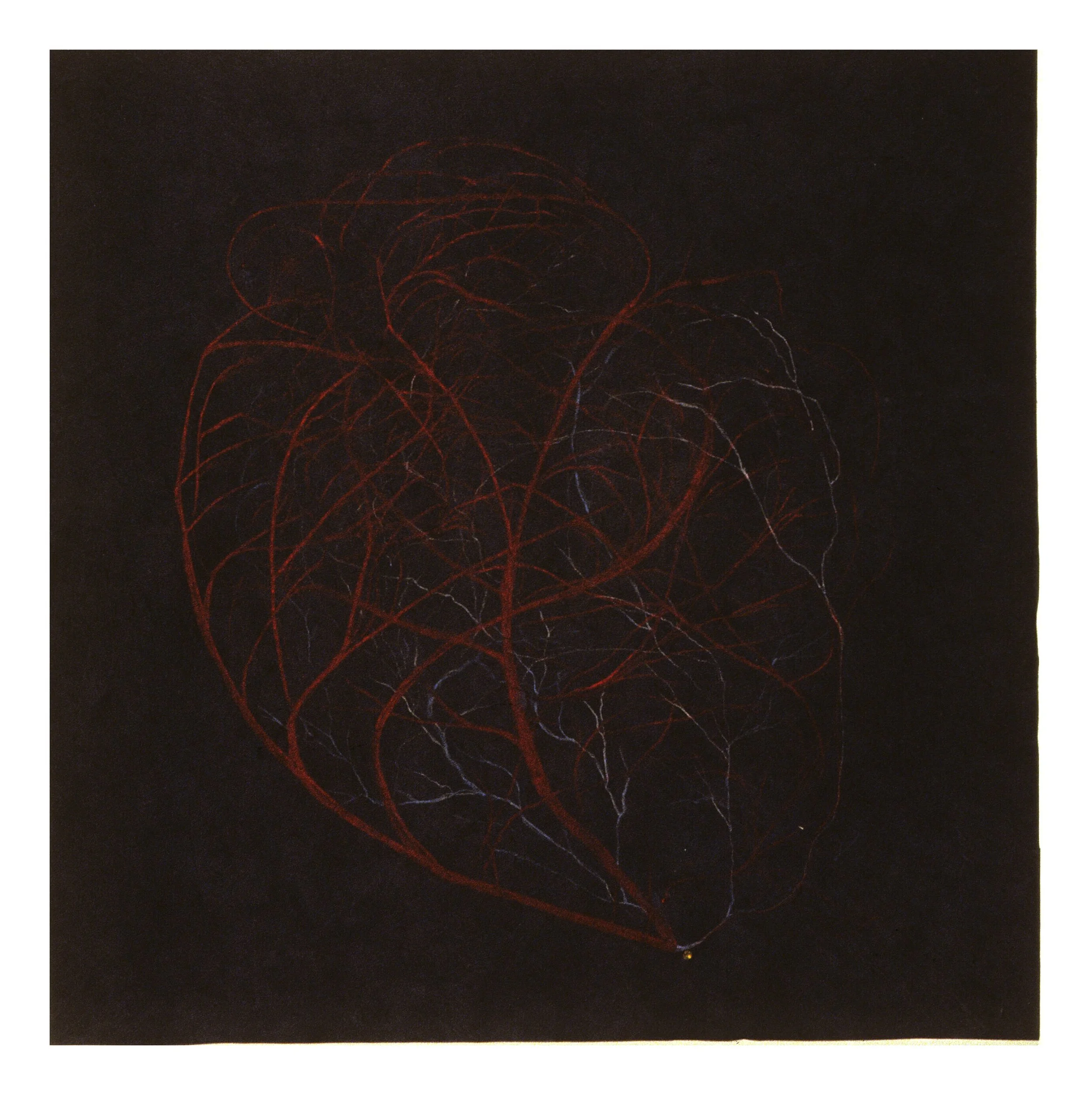 human+heart+cropped.jpg