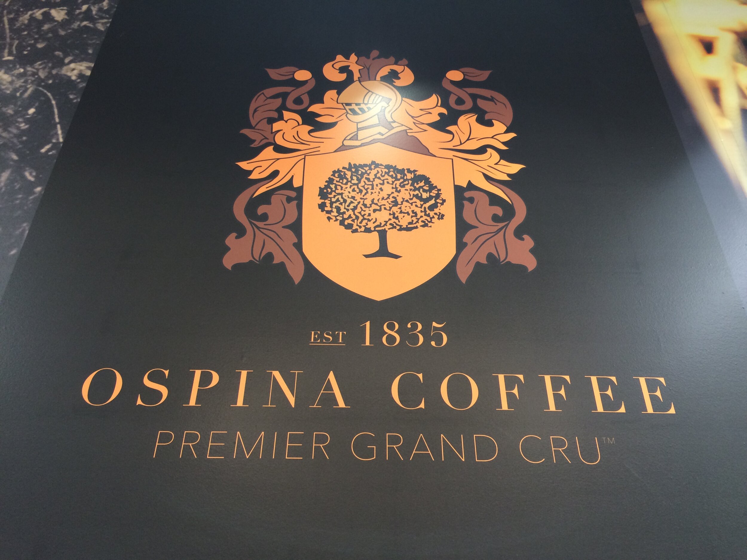 OC at MBOB 1.31.15 a.JPG