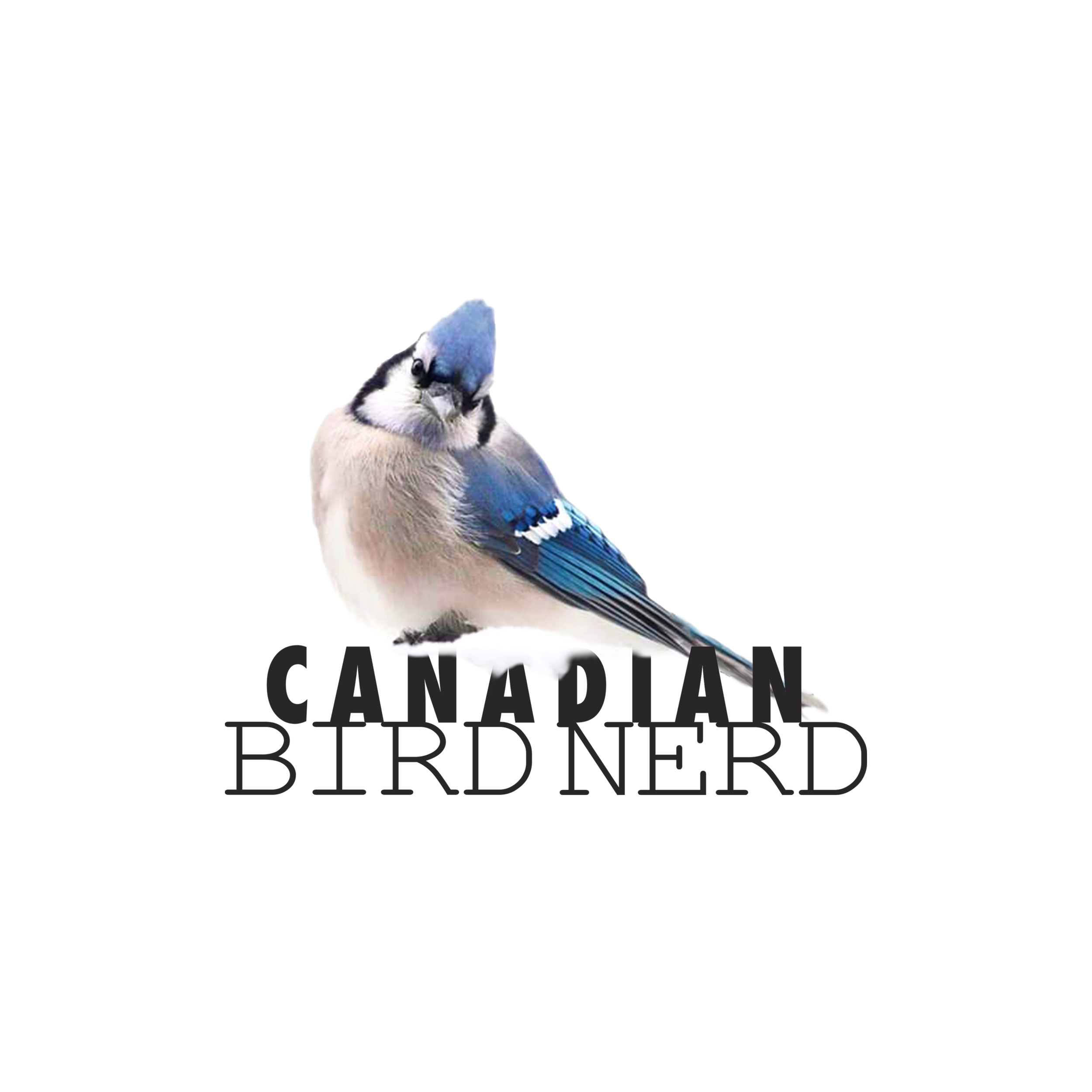 Canadian Bird Nerd