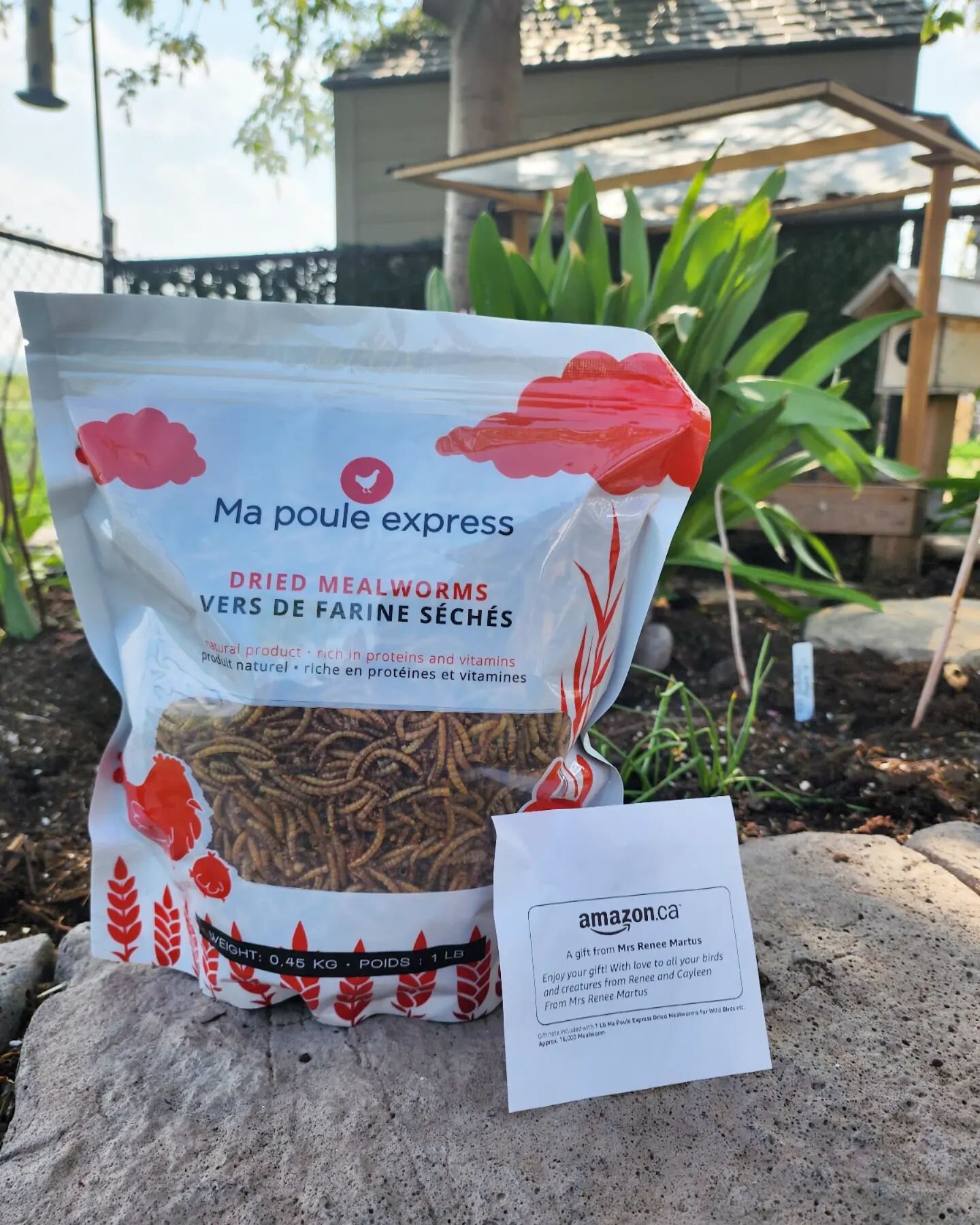 Thank you, Renee and Cayleen!!! Your bag of worms will go along way to feed the nesting birds right now!
#mealworms #birdfeed #mapouleexpress