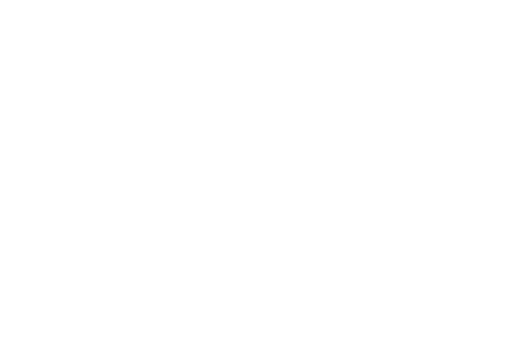 OFFICIAL SELECTION - The Chi-Town Multicultural Film Festival - 2020 copy.png