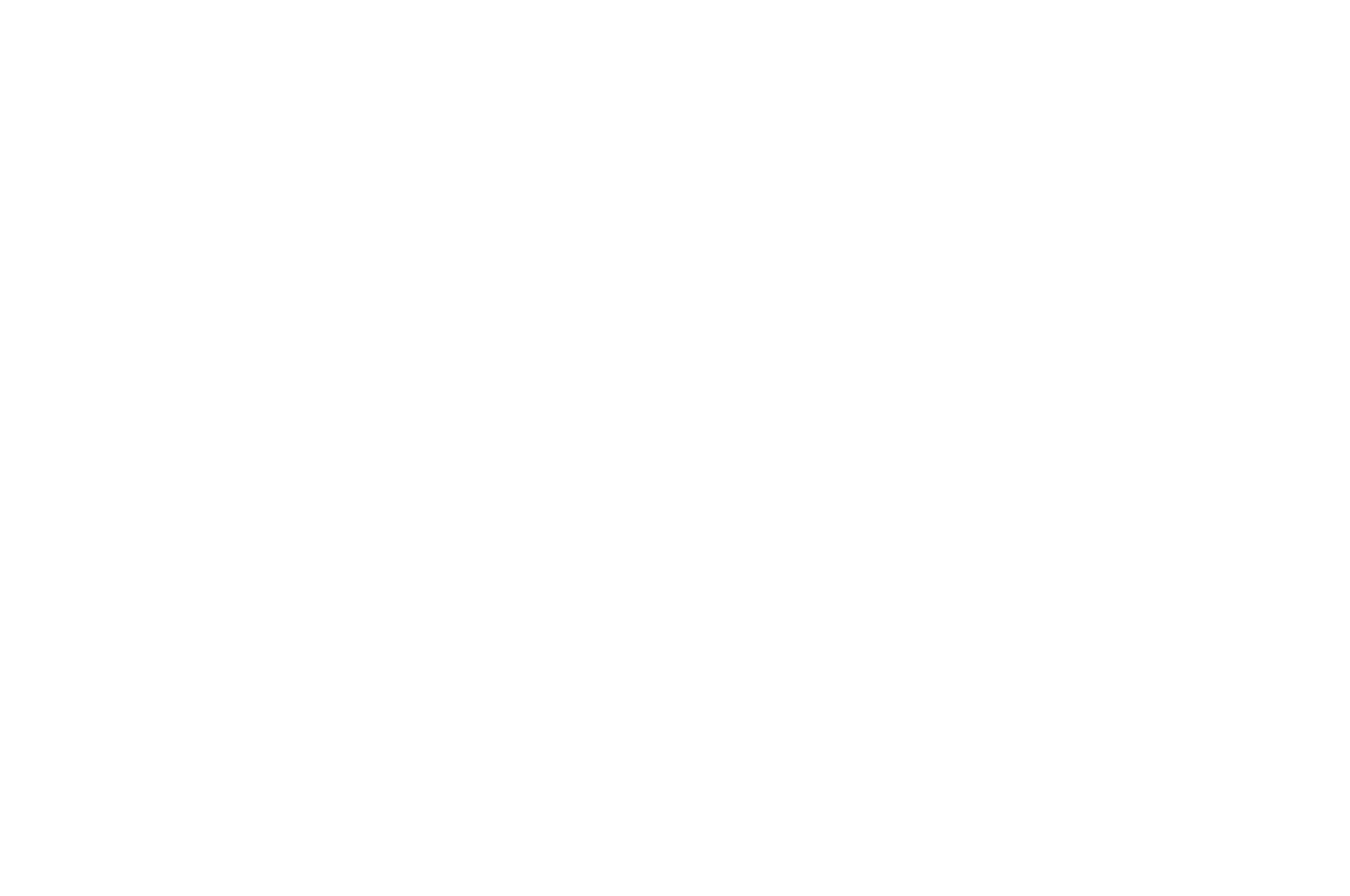 WINNER - Venice Shorts - 2020.png
