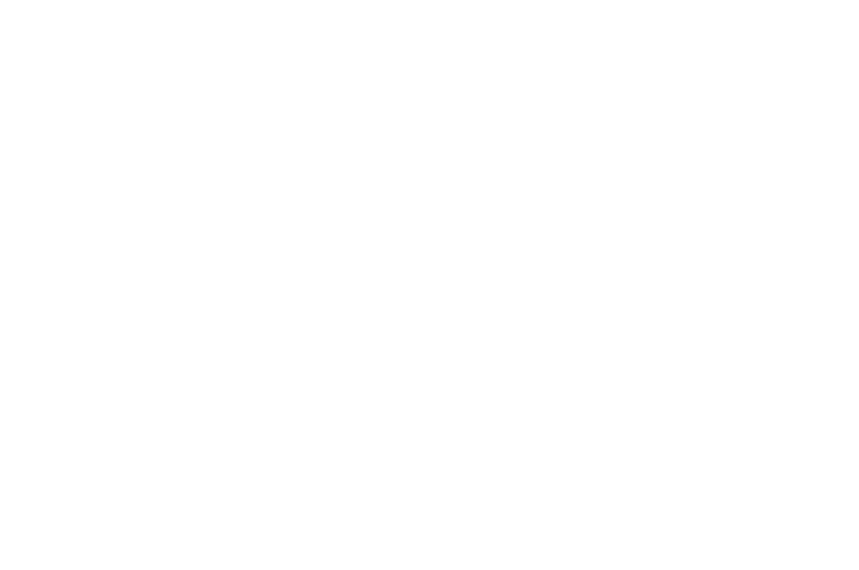 OFFICIAL SELECTION - Docs Without Borders Film Festival - 2020.png