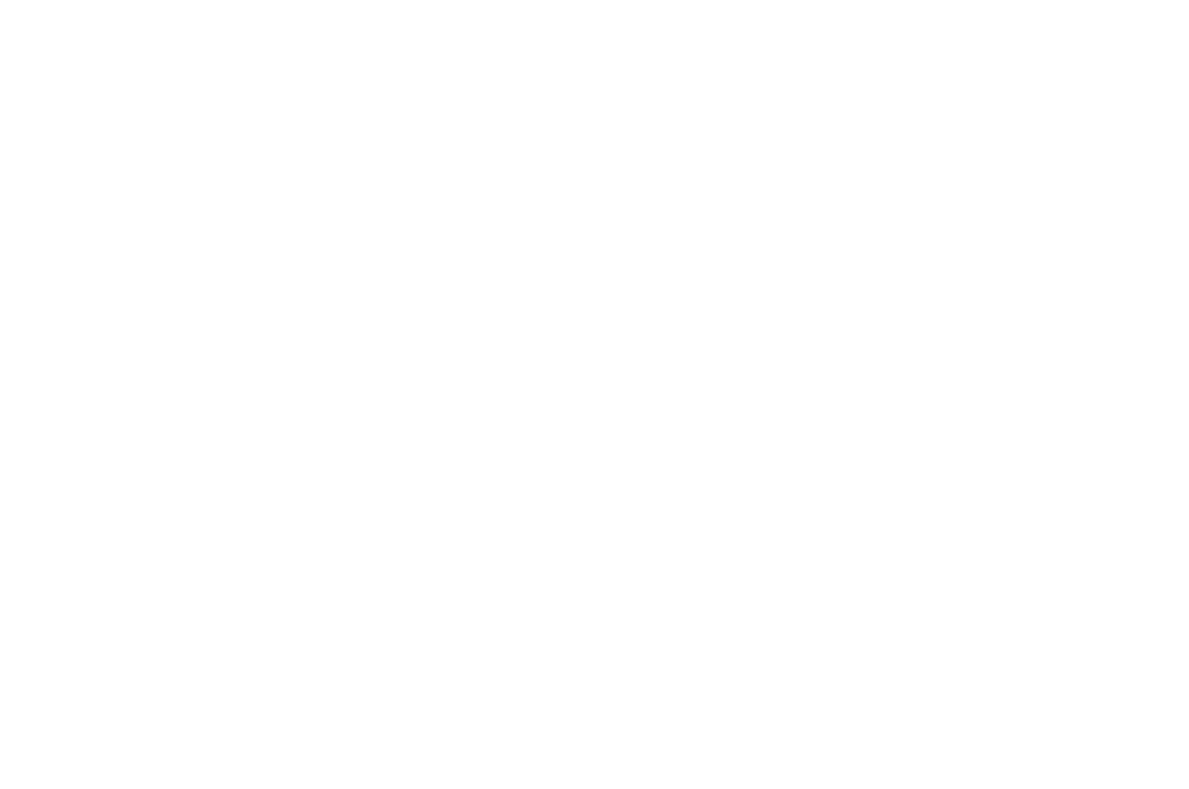 WINNER - Indie Short Fest - 2020.png