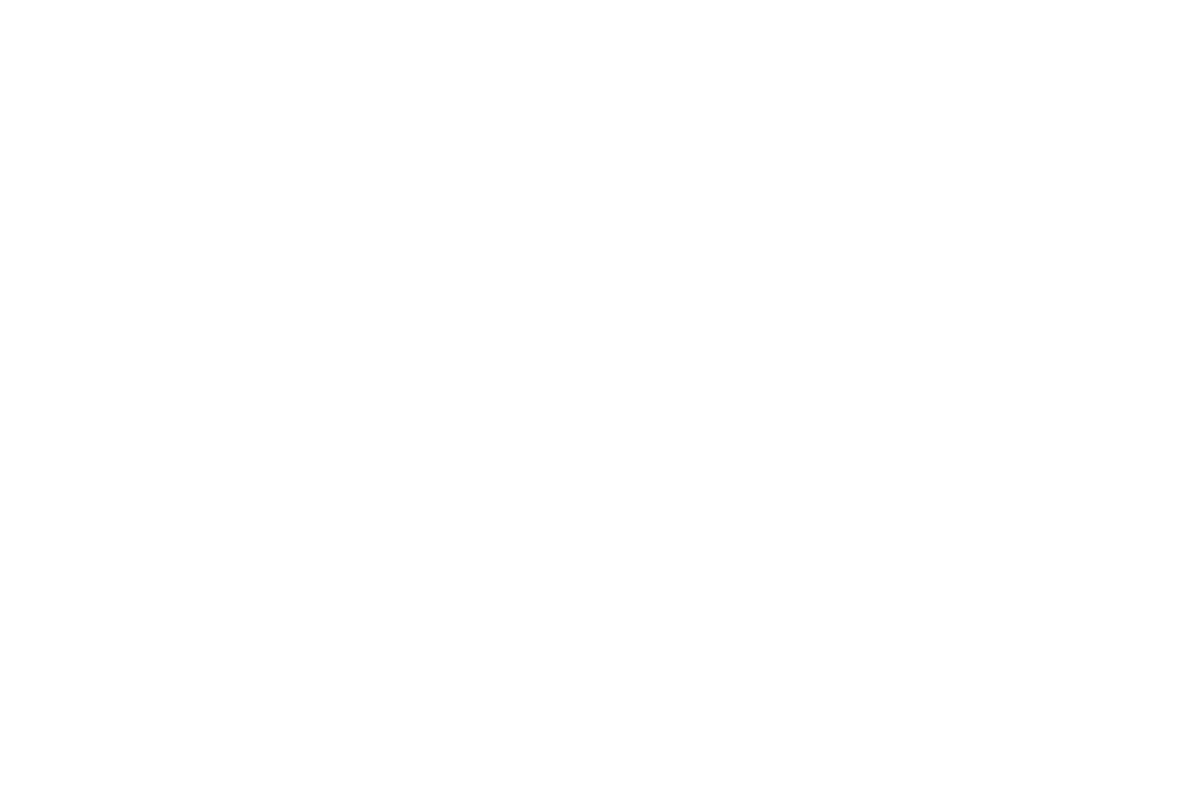 SEMI-FINALIST - AFIN International Film Festival - 2020.png