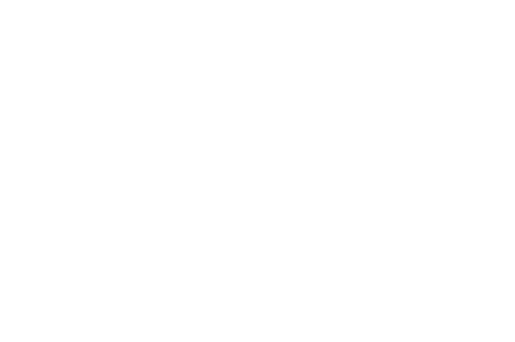 WINNER - IndieX Film Fest - 2020.png