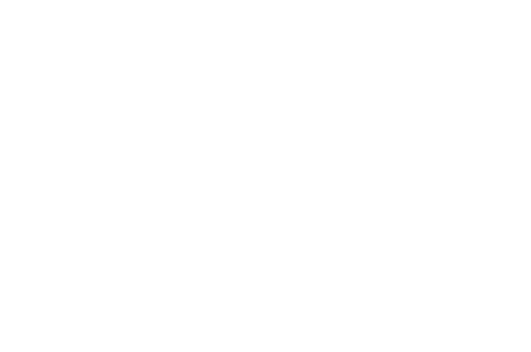OFFICIAL SELECTION BEST PRODUCER - IndieX Film Fest - 2020 (1).png