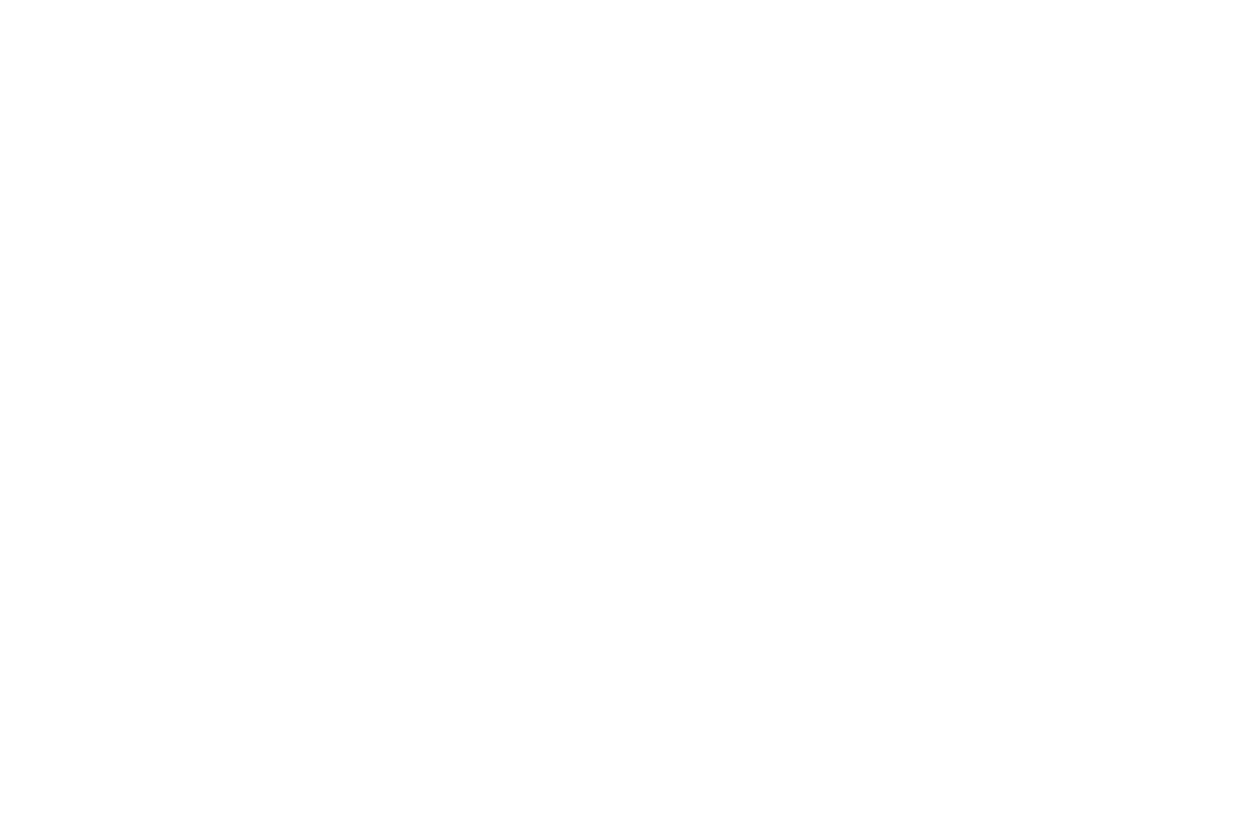 OFFICIAL SELECTION - Los Angeles Lift-Off Film Festival - 2020.png