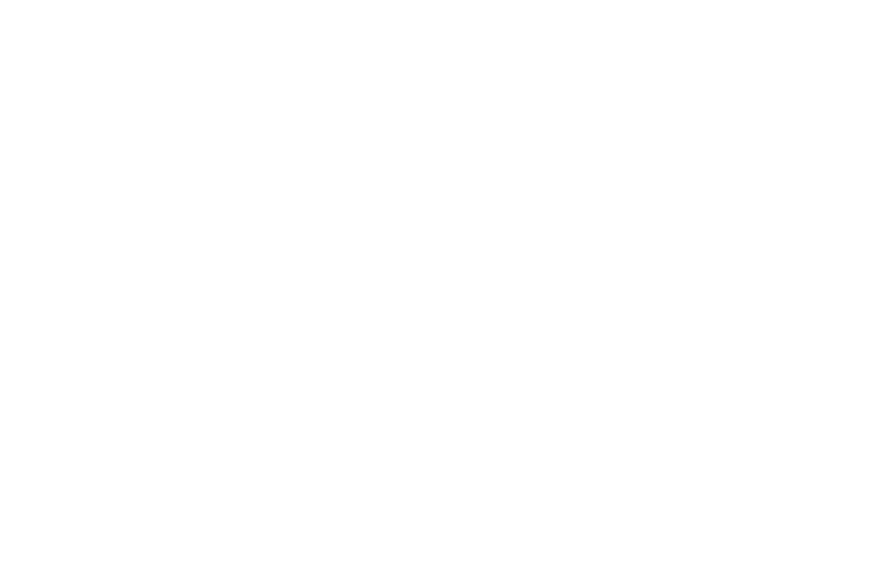 NOMINATED - BEST FIRST TIME DIRECTOR MALE - Indie Short Fest - 2020.png