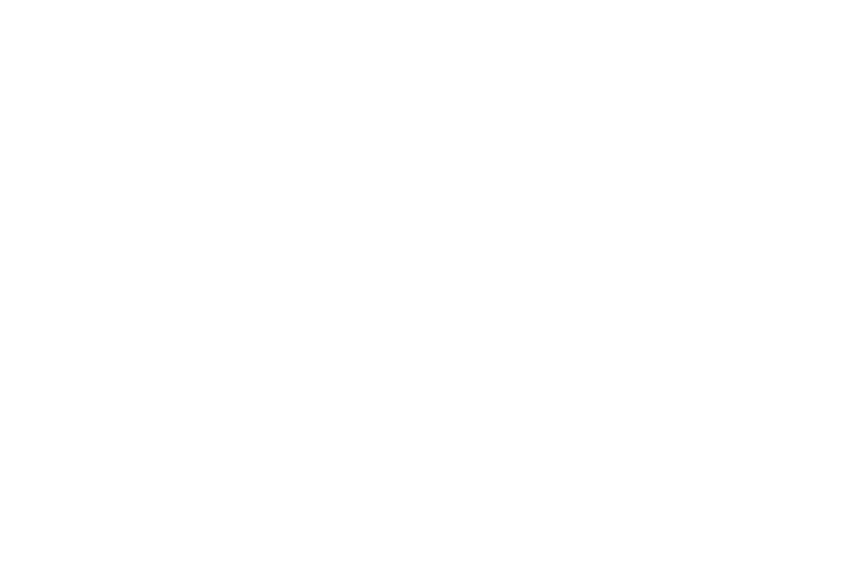 OFFICIAL SELECTION - Anchorage International Film Festival - 2020.png