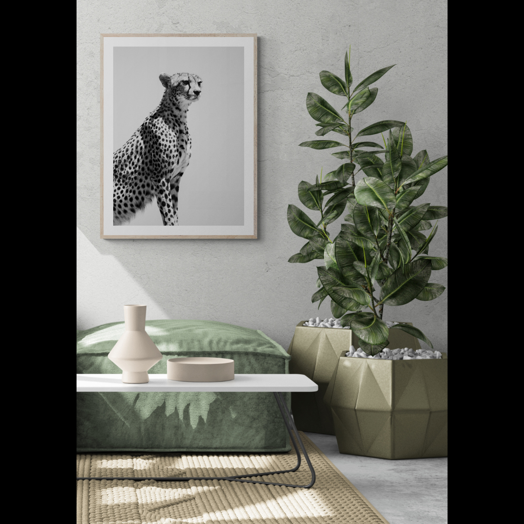 Duma - Print