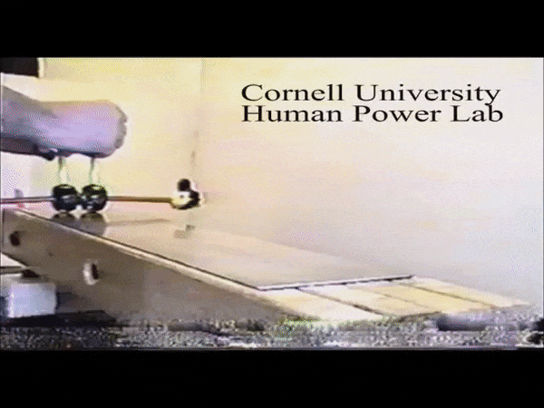 Cornell Tinkertoy Walker GIF.gif